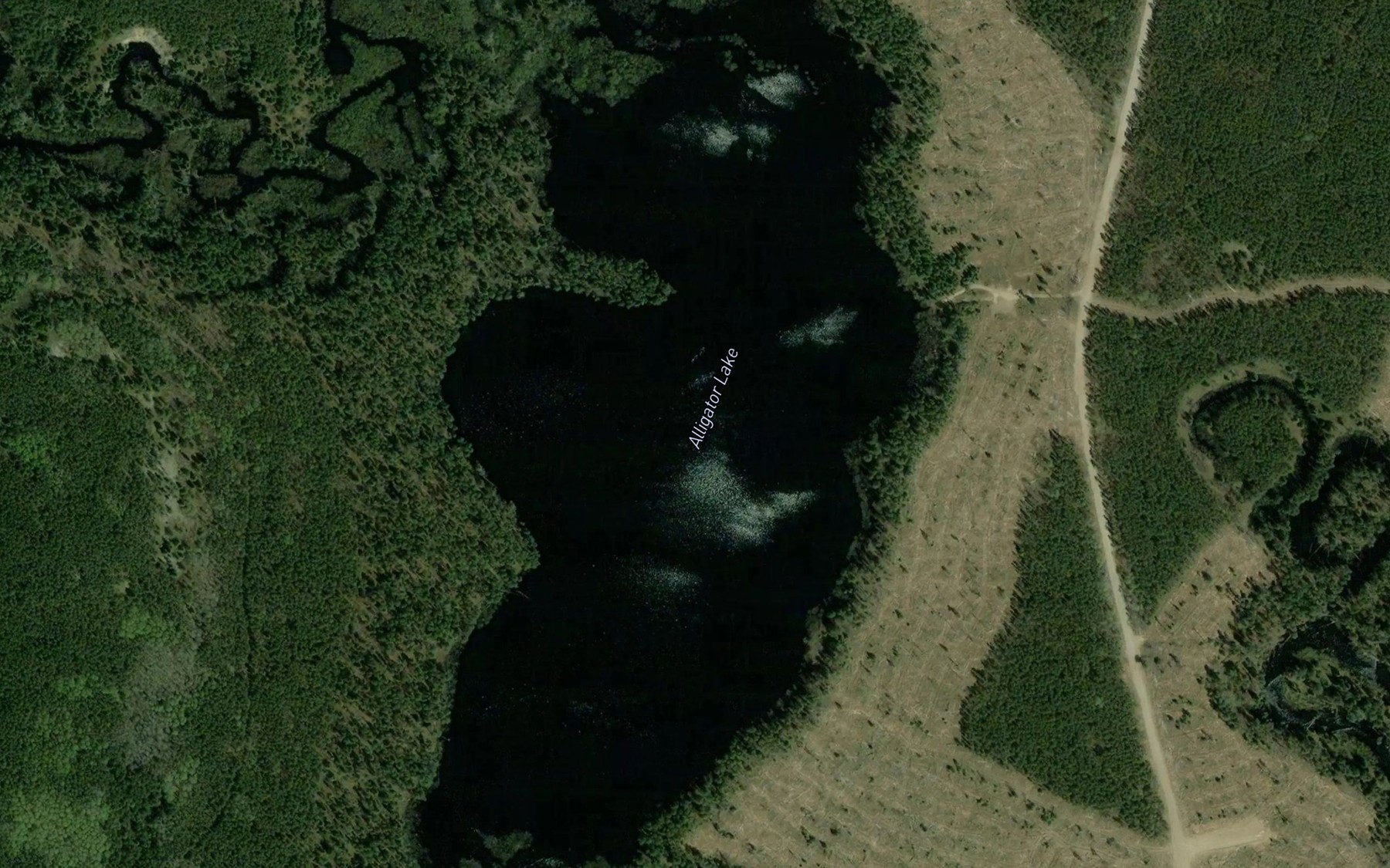 Satellite map of the Alligator Lake