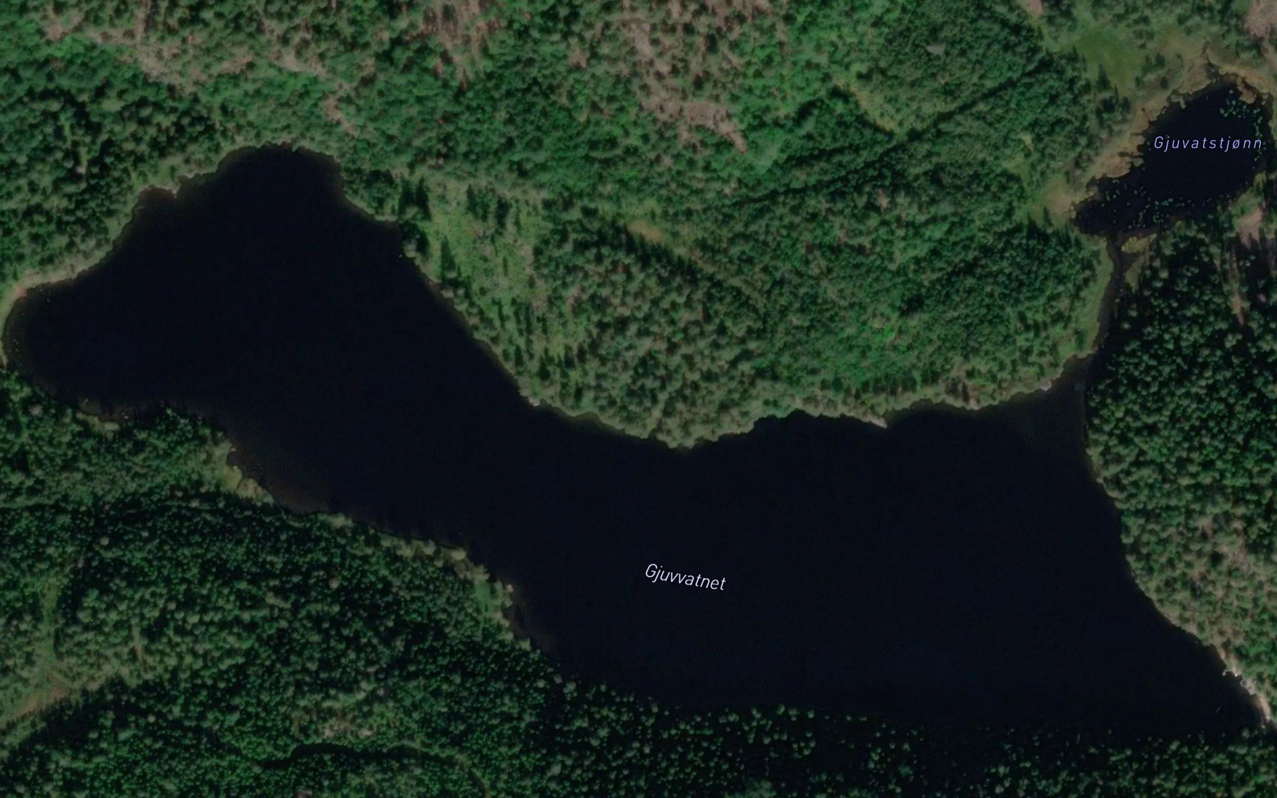 Gjuvvatnet