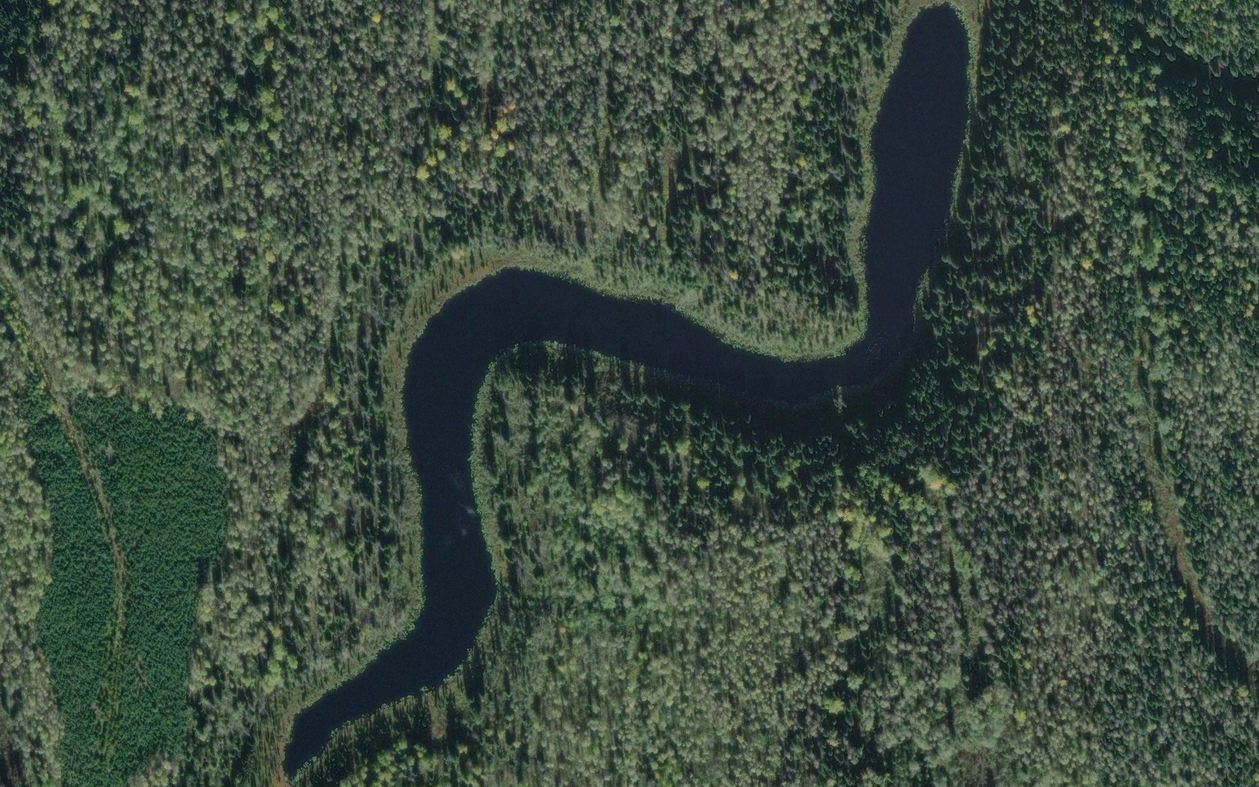 Pauli Lake