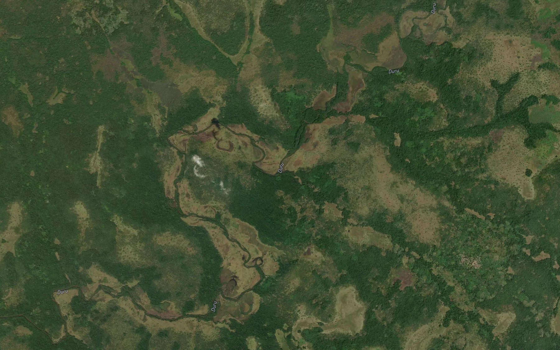 Satellite map of the Tongo