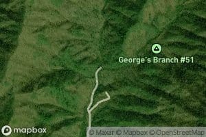 Georges Branch
