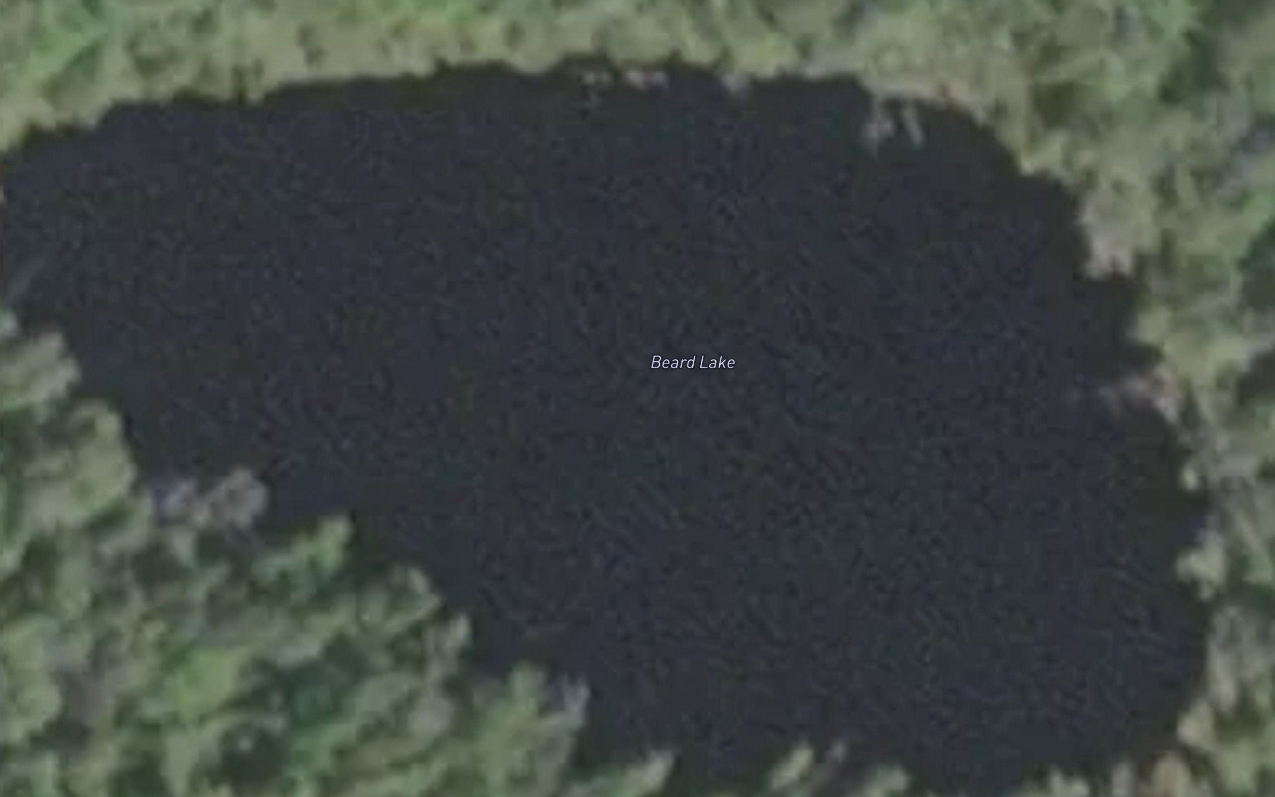 Beard Lake