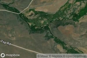Friedman Creek