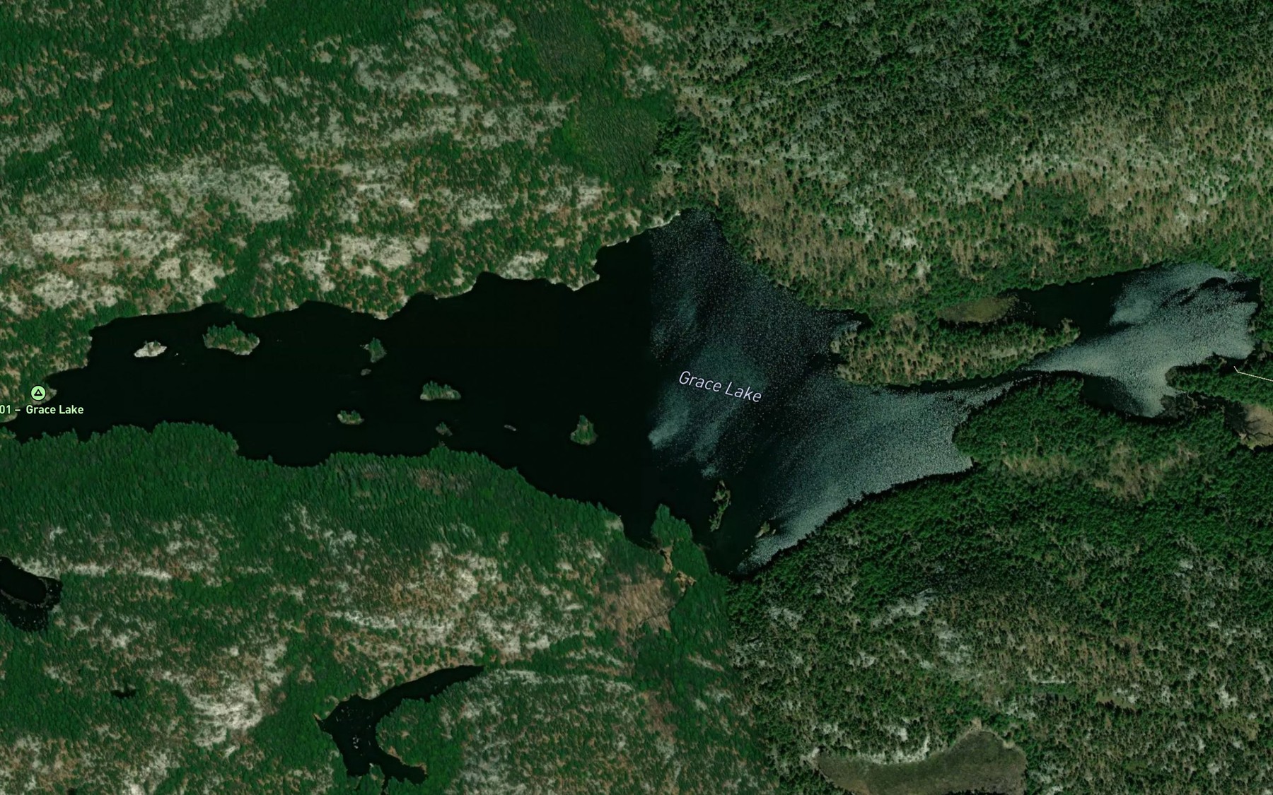 Satellite map of the Grace Lake