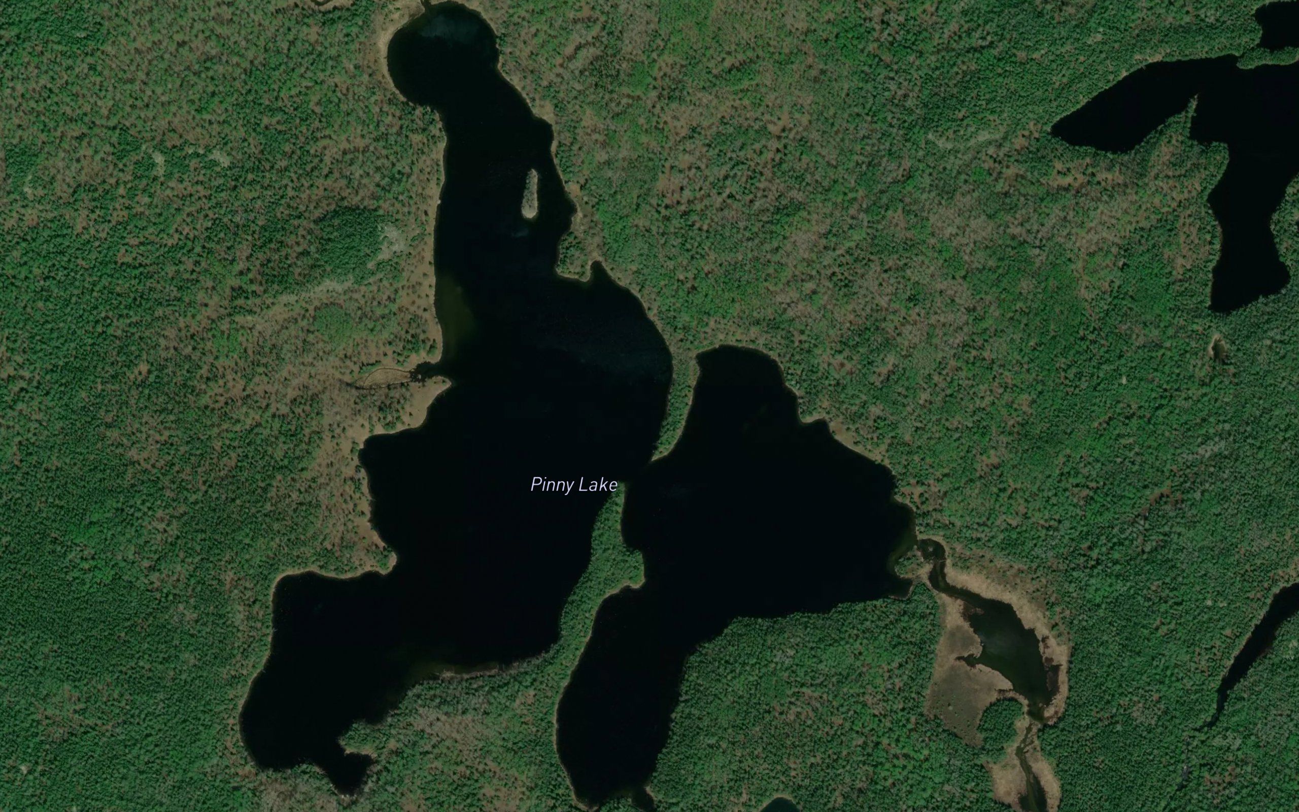 Pinny Lake