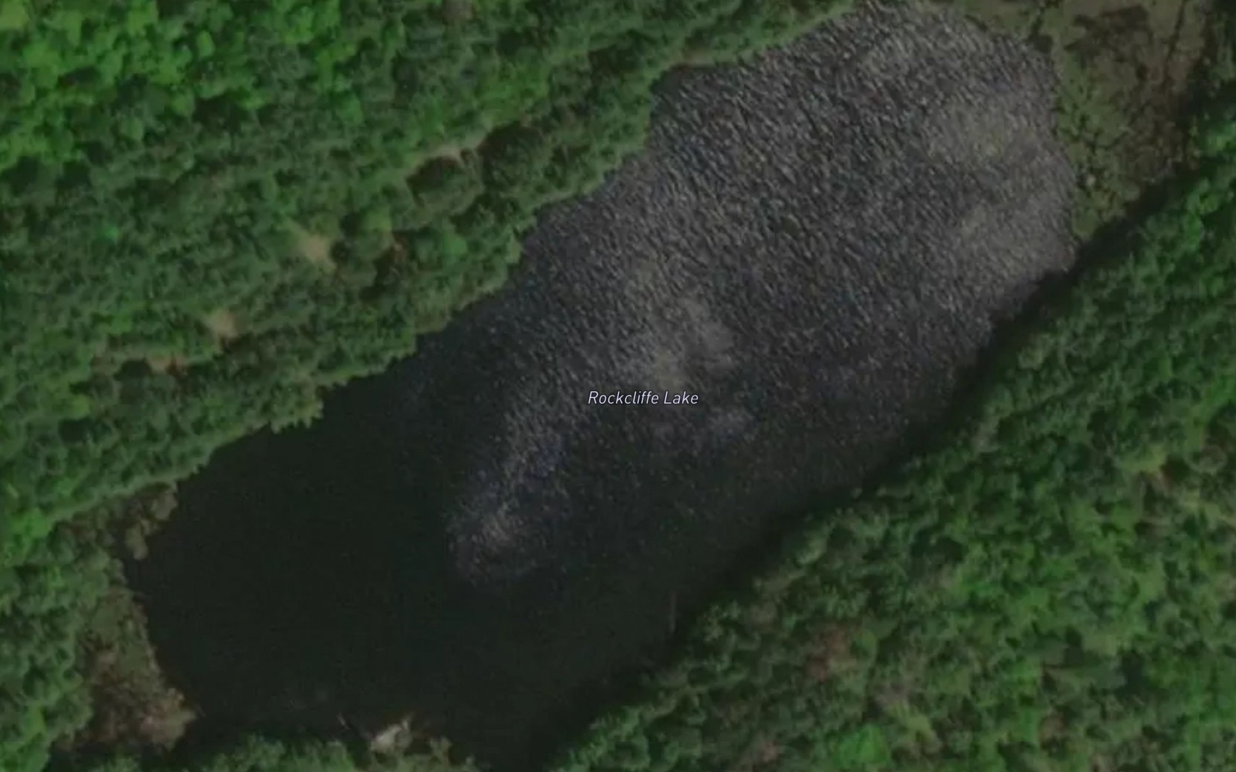 Satellite map of the Rockcliffe Lake