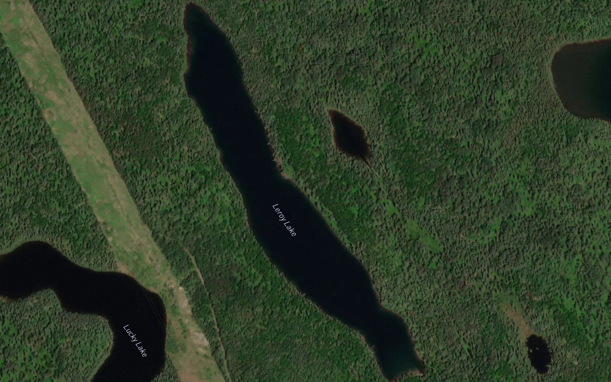 Leroy Lake
