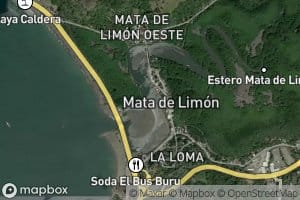 Estero Mata de Limon