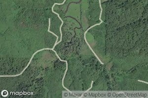 West Fork Andrews Creek