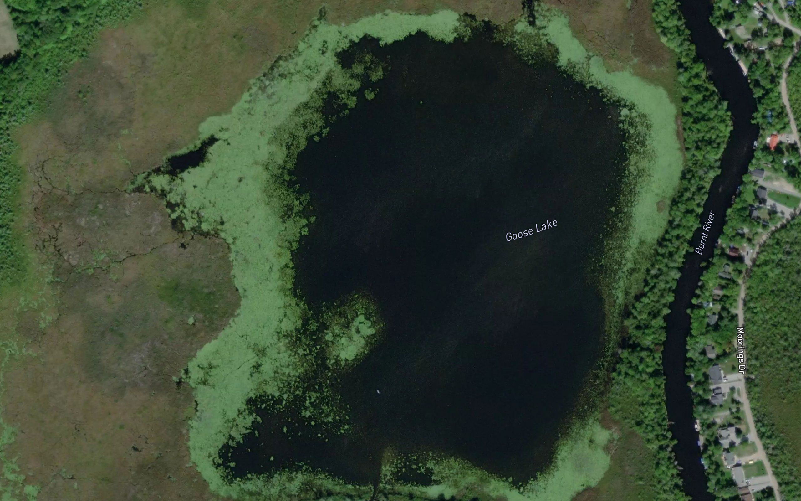 Goose Lake
