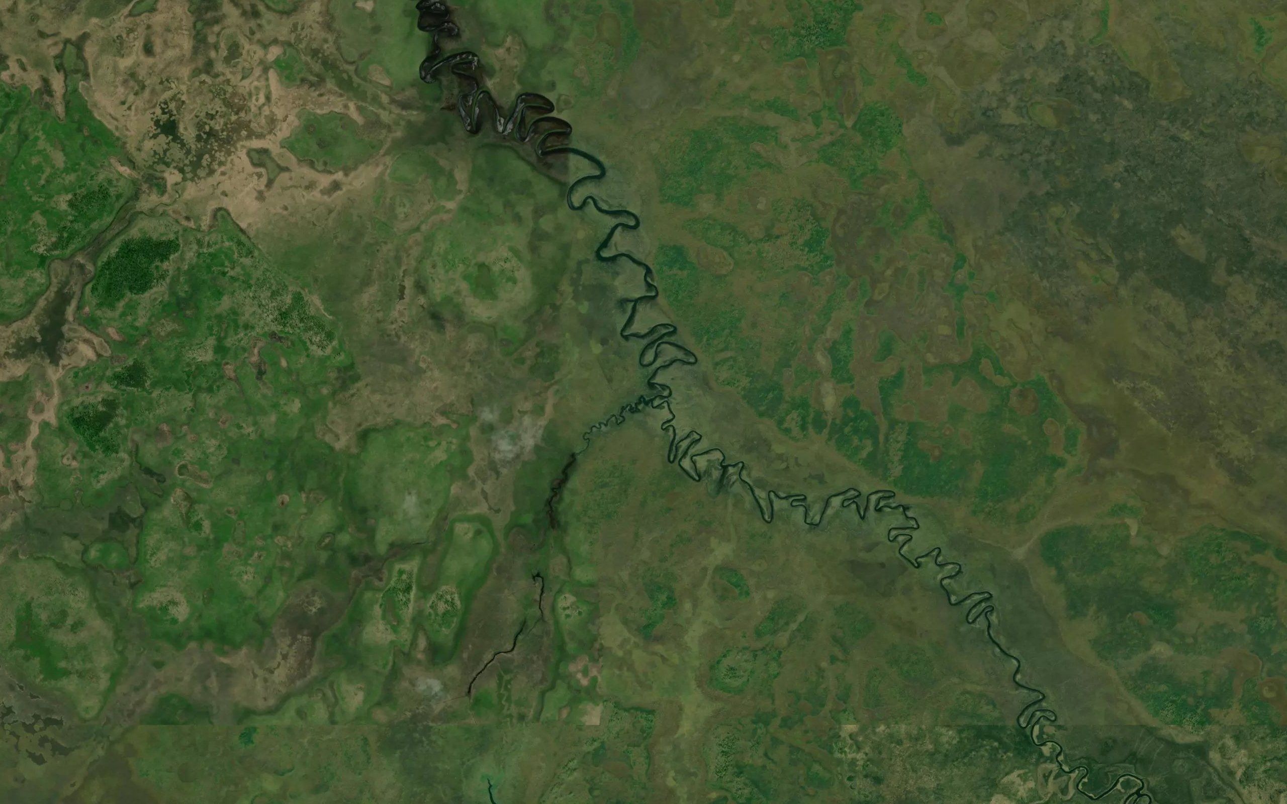 Medvezhiy