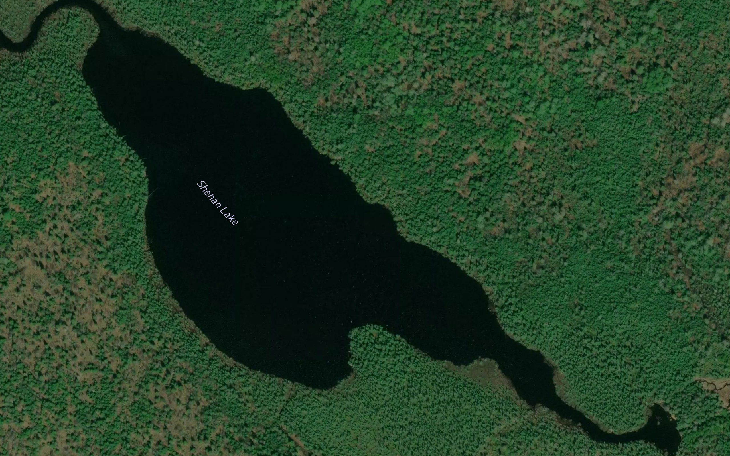 Shehan Lake