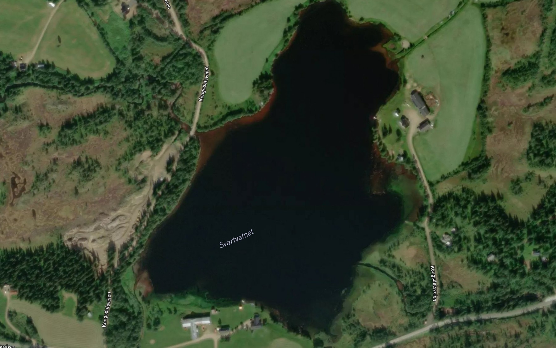 Satellite map of the Svartvatnet