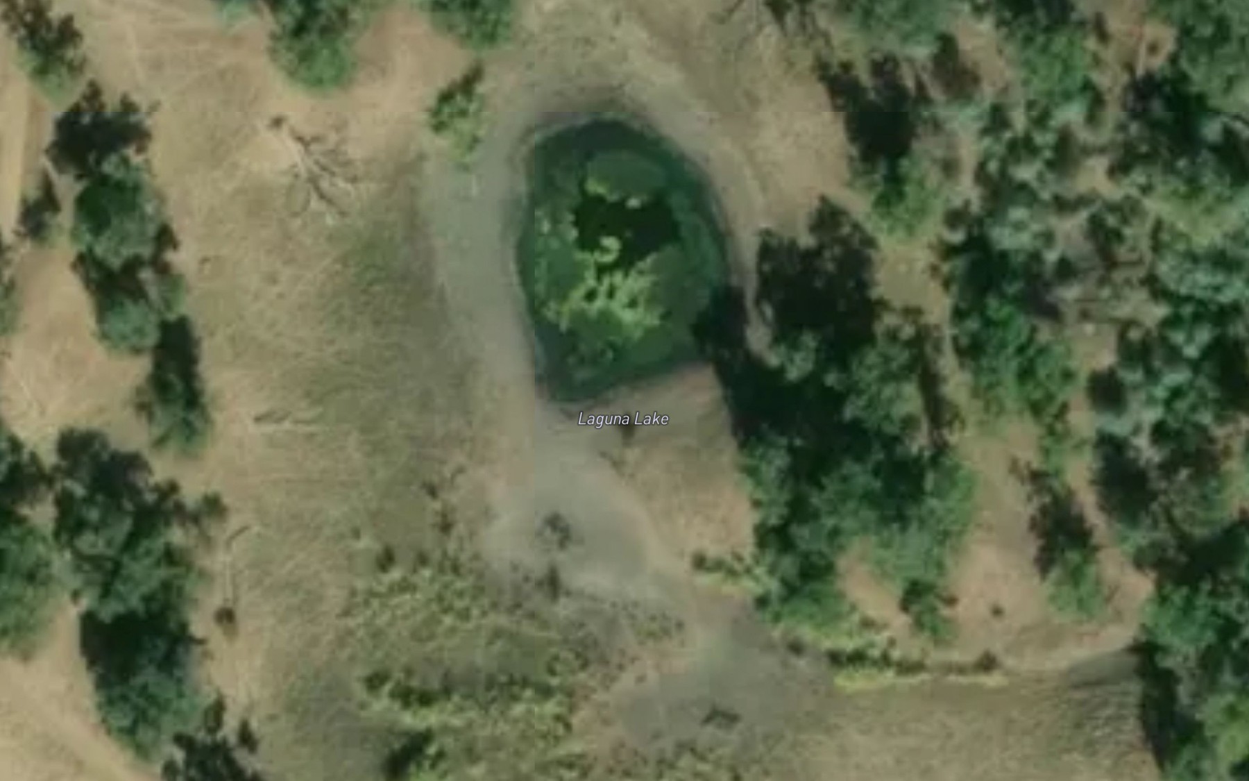Satellite map of the Laguna Lake
