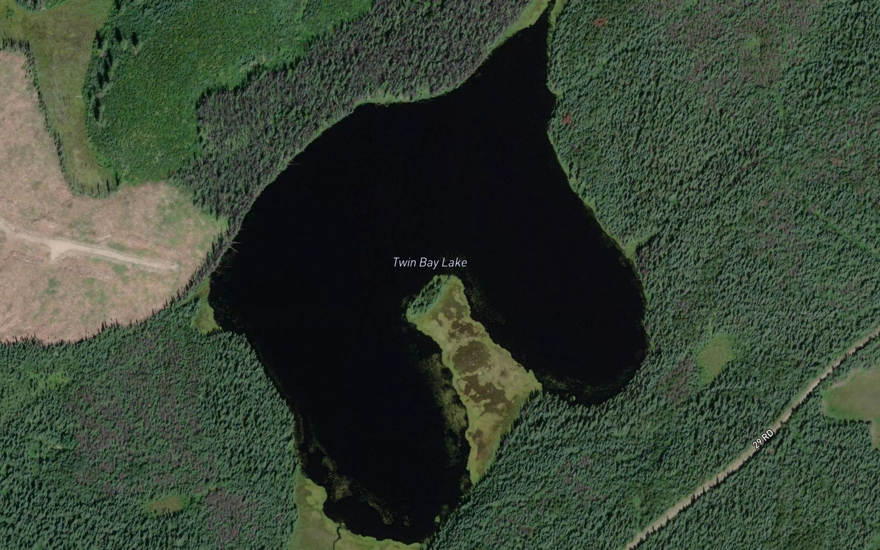 Satellite map of the Twin Bay Lake