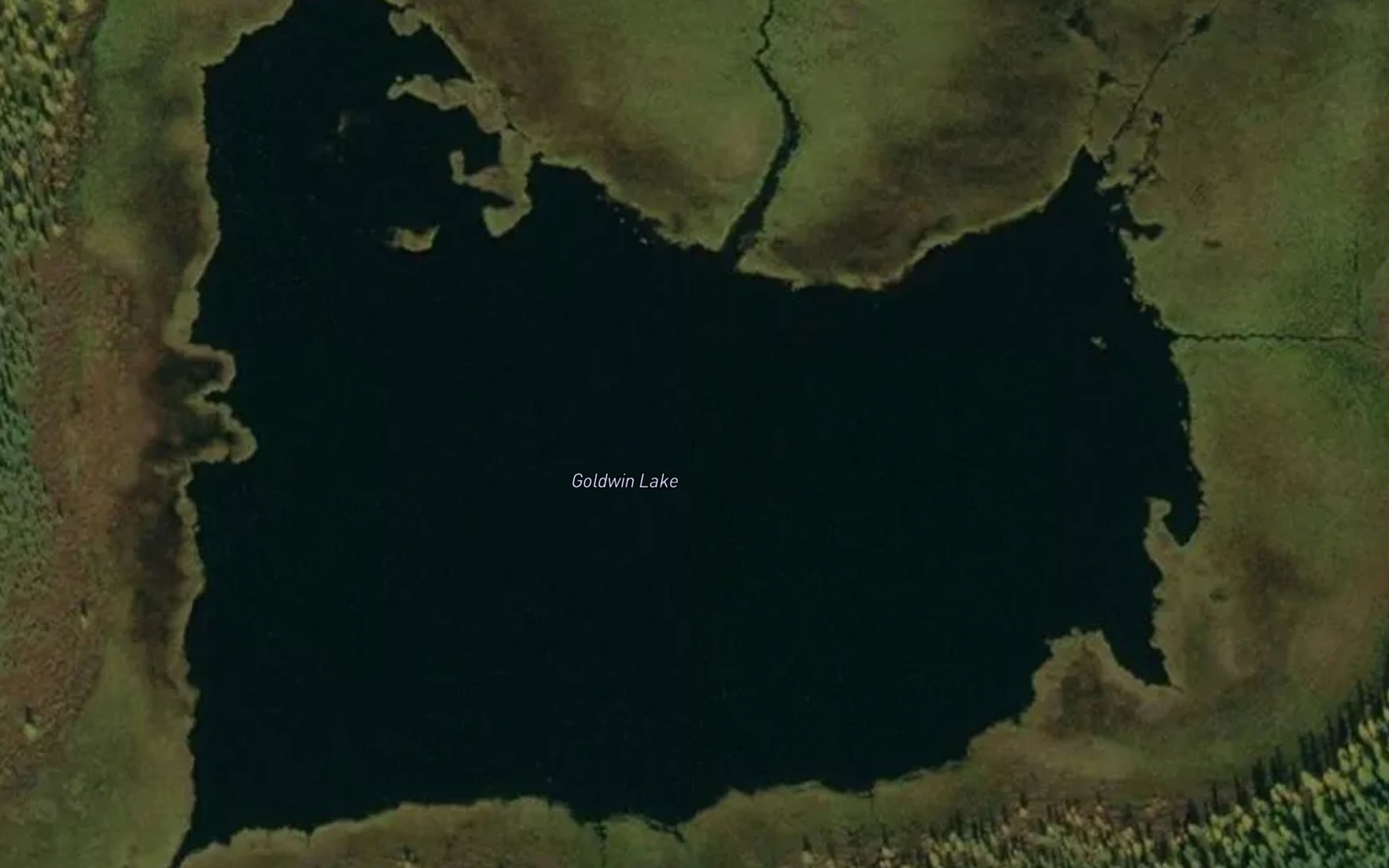 Satellite map of the Goldwin Lake