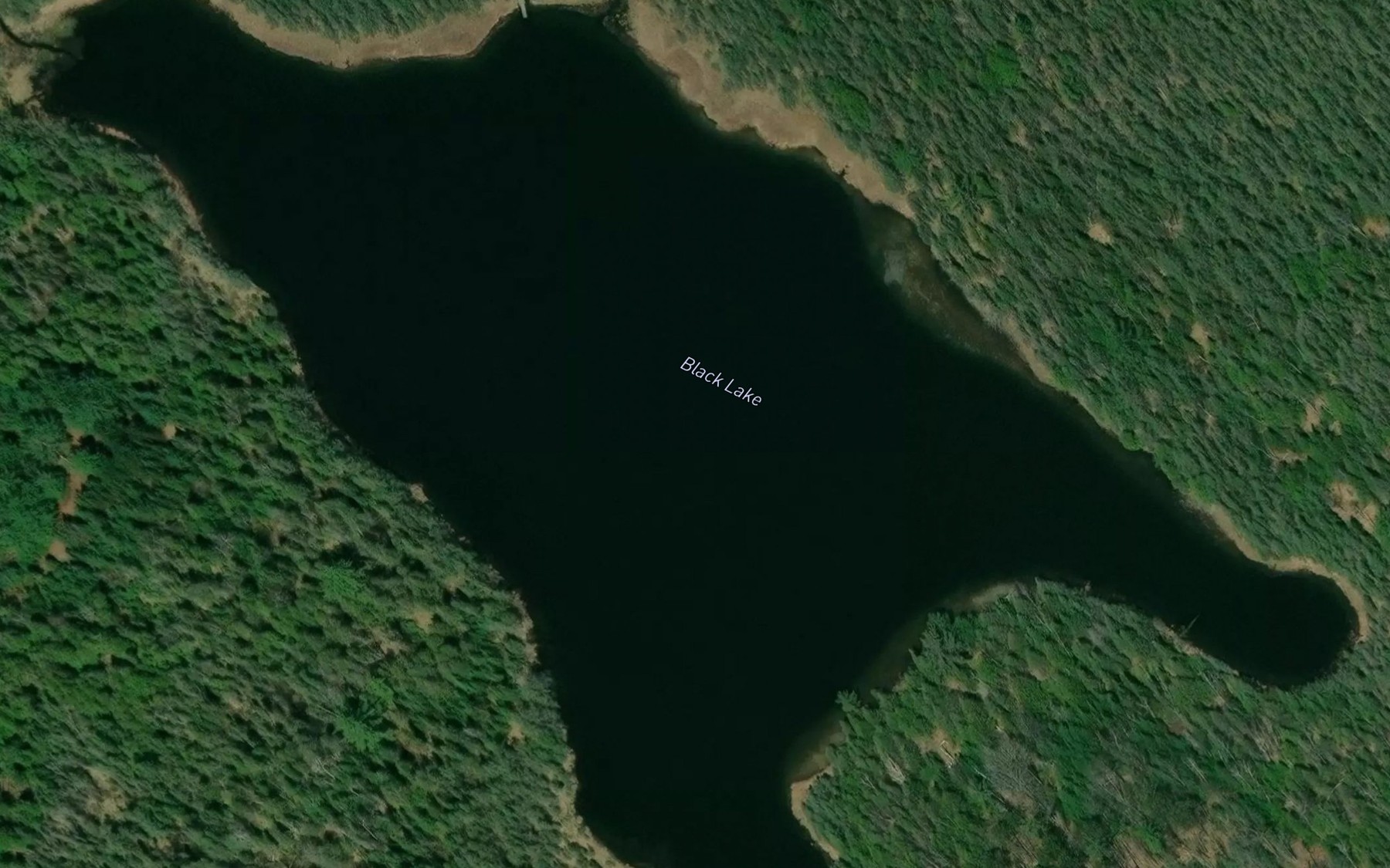 Satellite map of the Black Lake