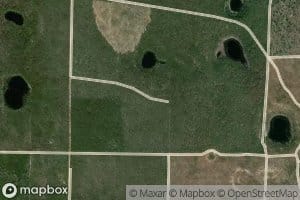 Alligator Pond