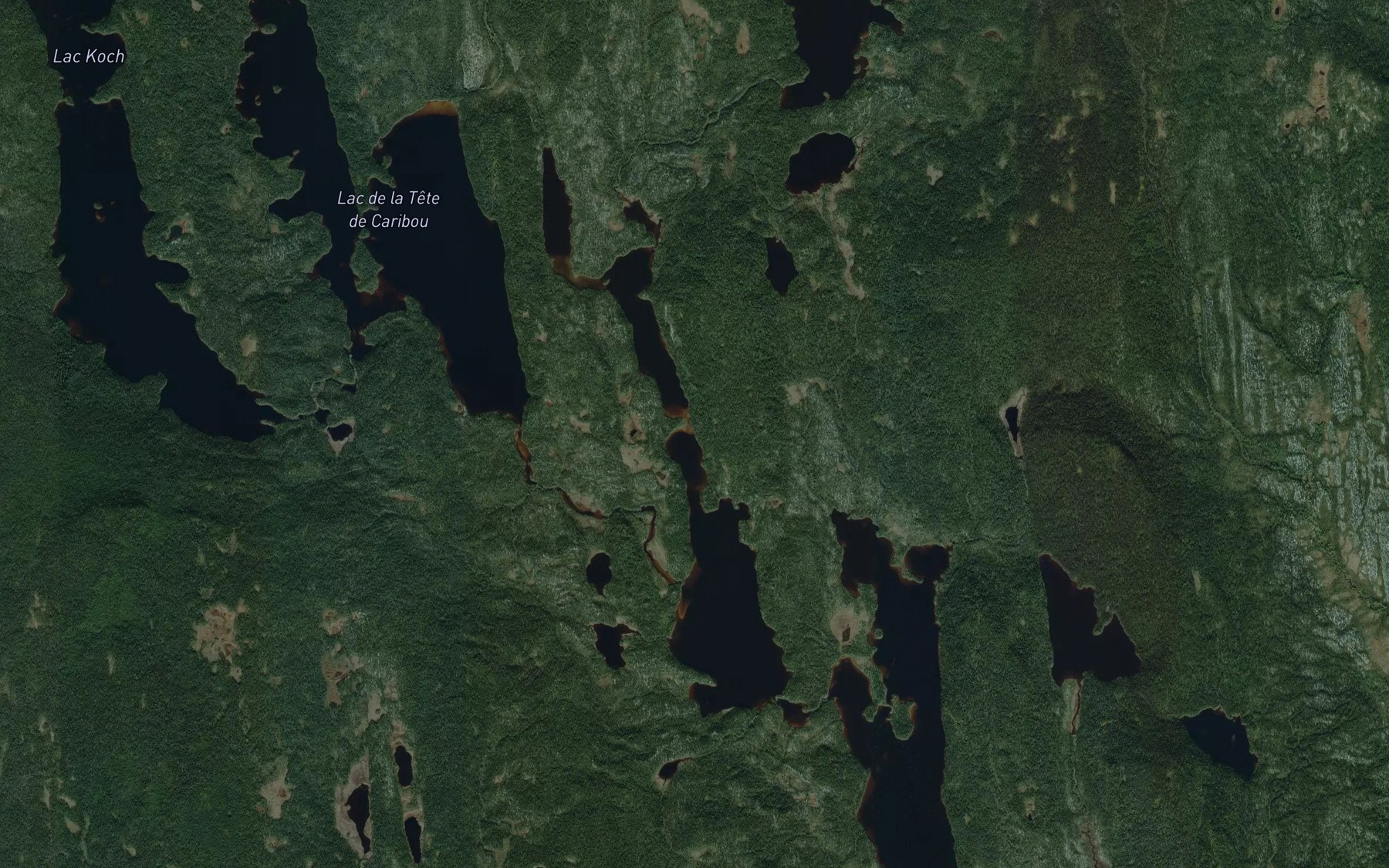 Satellite map of the Lac Homard