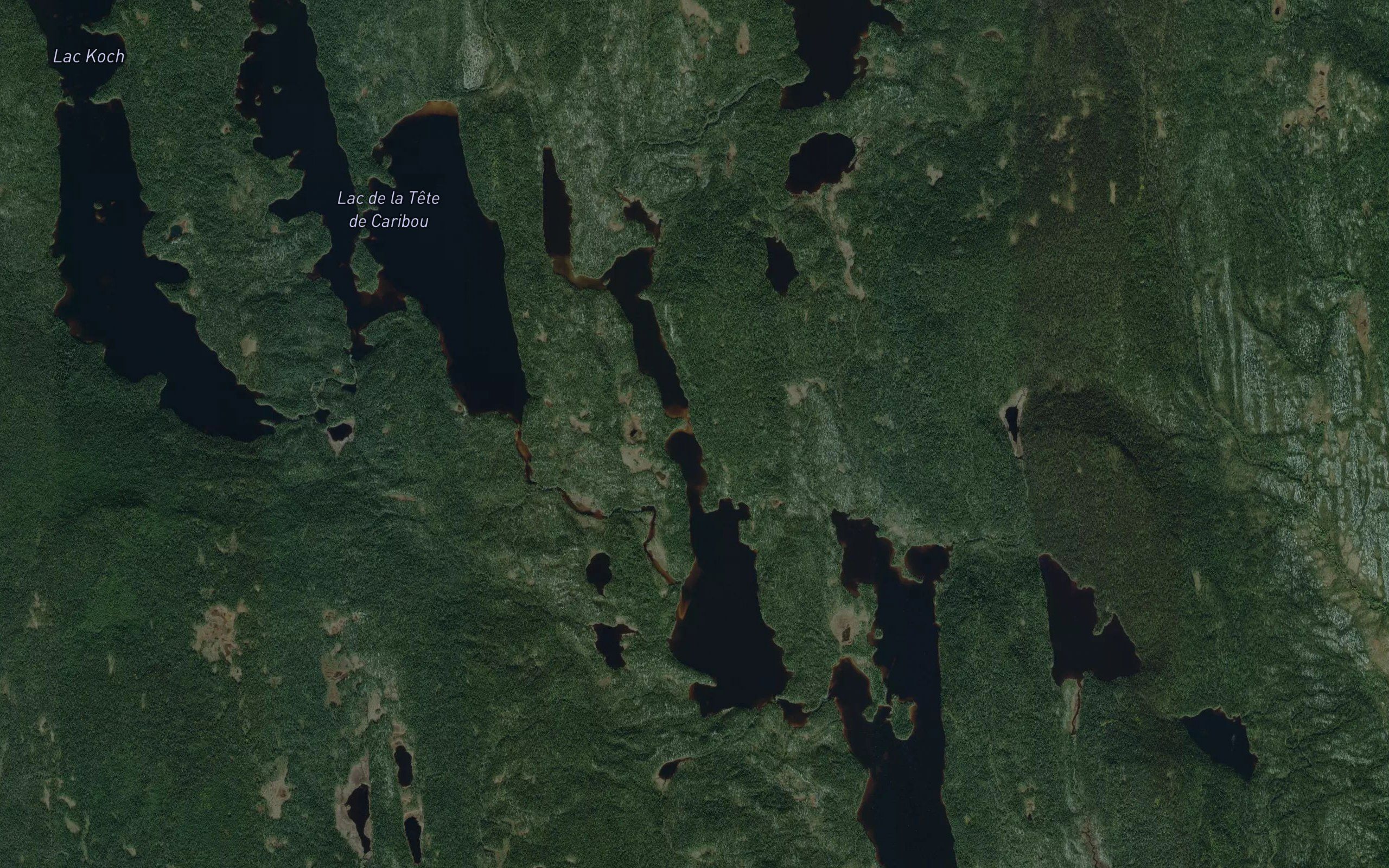 Lac Homard