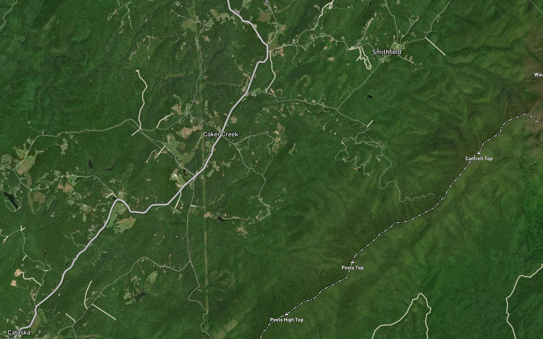 Satellite map of the McAllister Branch