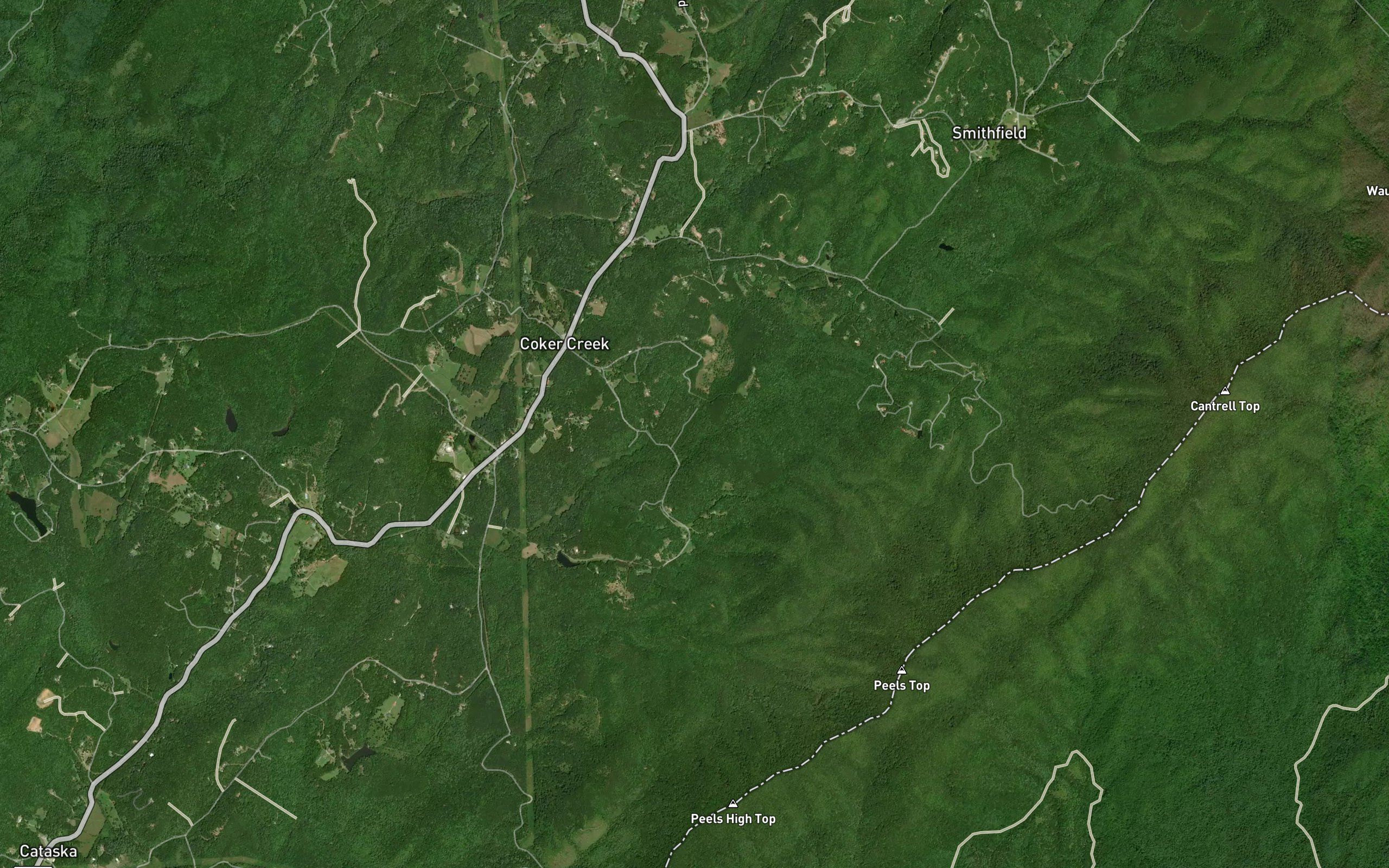 McAllister Branch