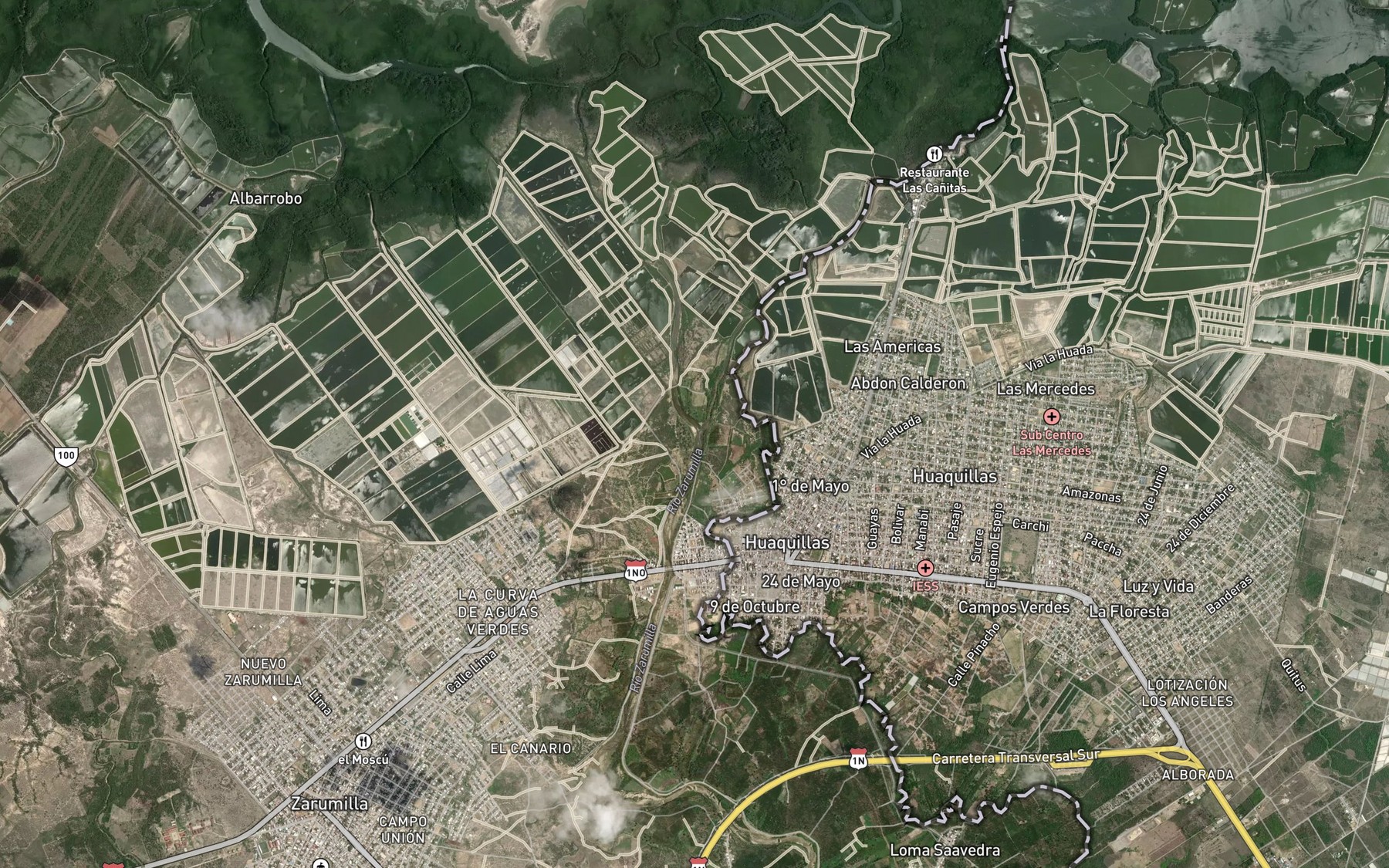 Satellite map of the Rio Bolsico