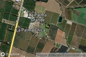 Estero de las Delicias