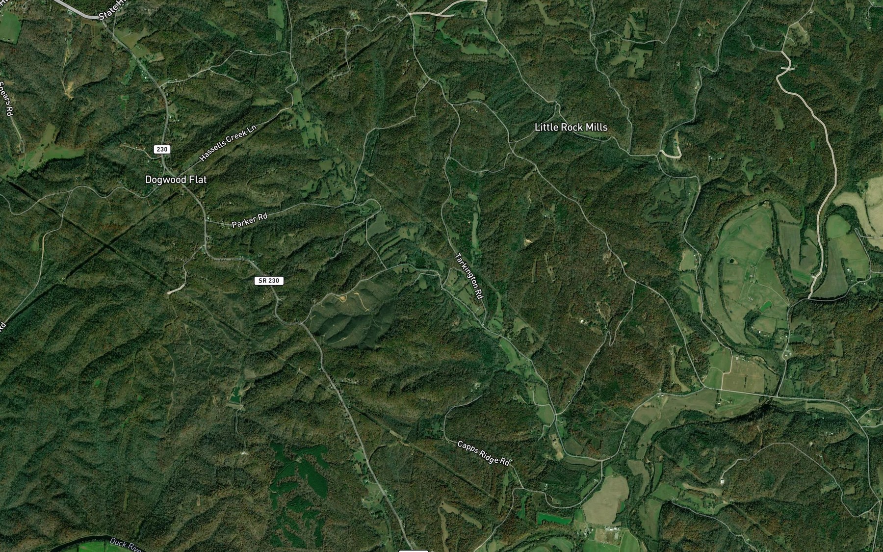 Satellite map of the Neely Branch