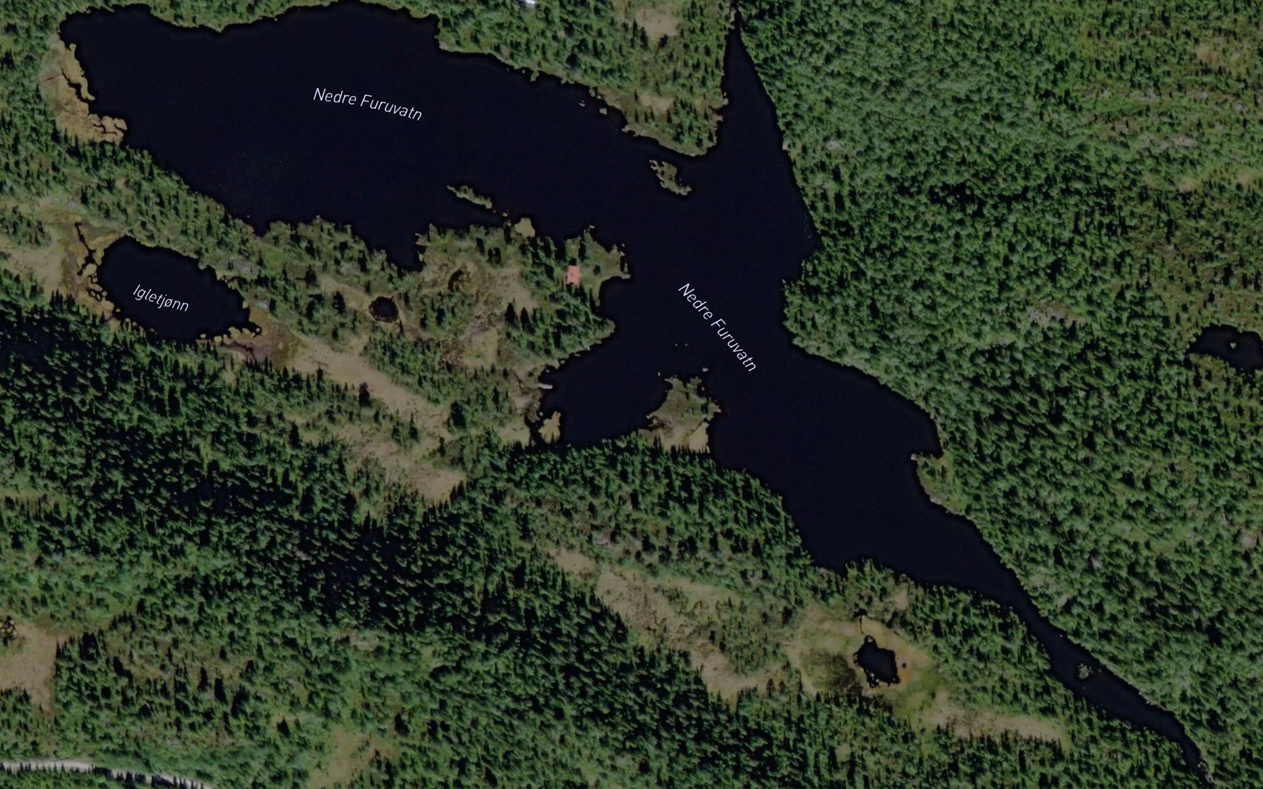 Furuvatn,nedre