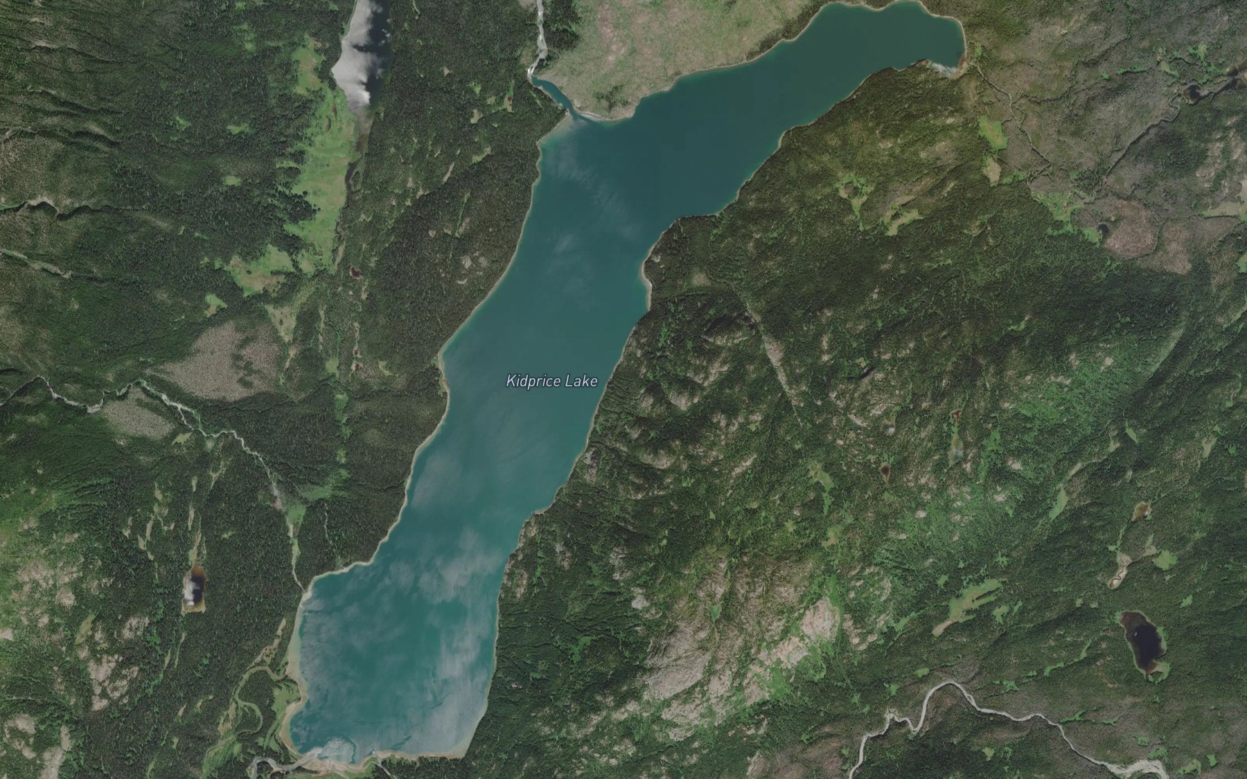 Satellite map of the Kidprice Lake