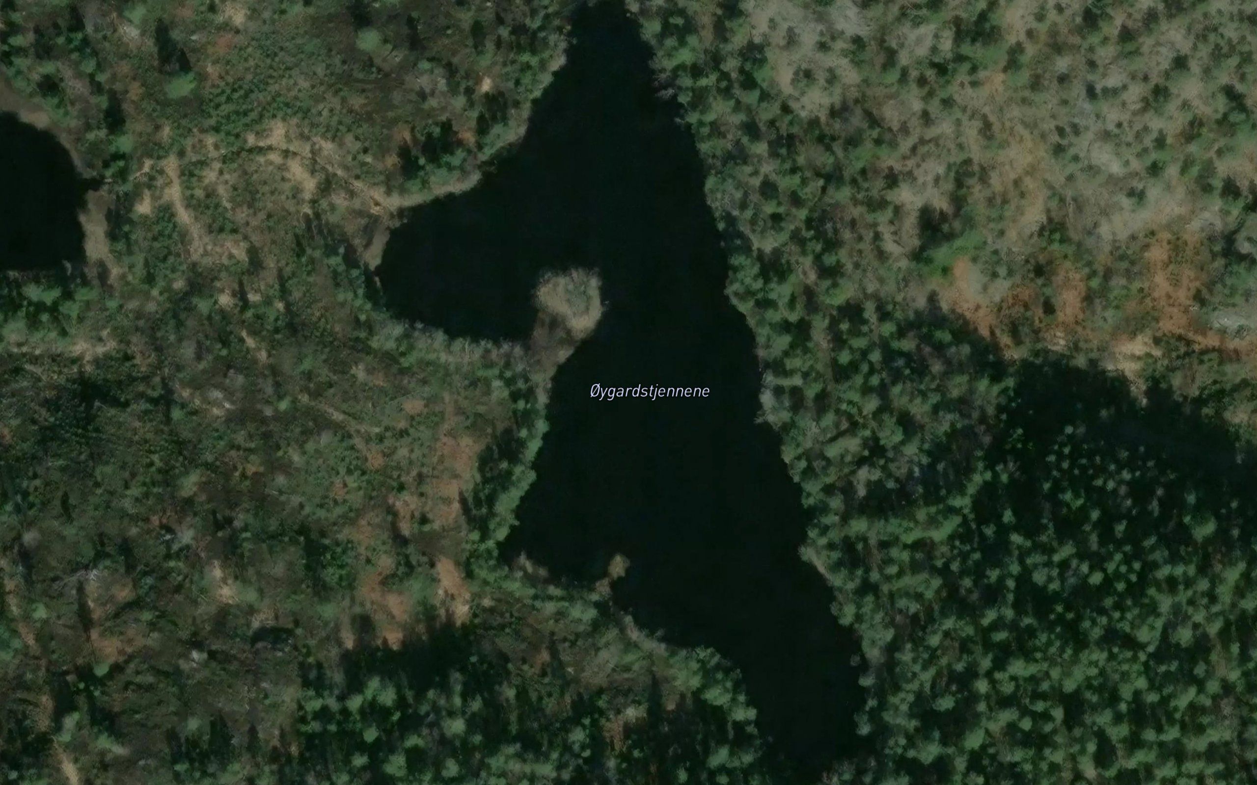 Oygardstjennene