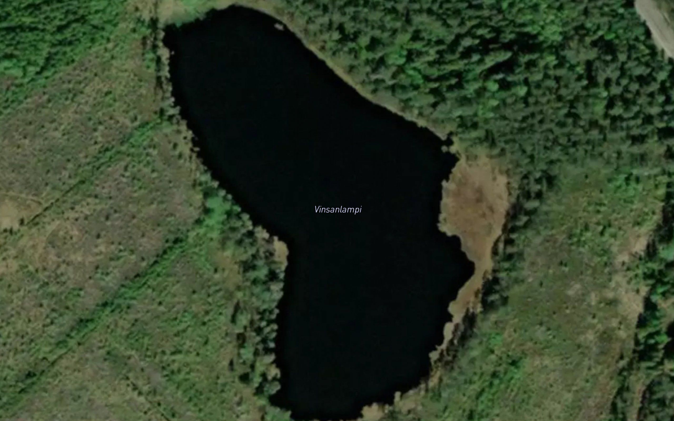 Vinsanlampi