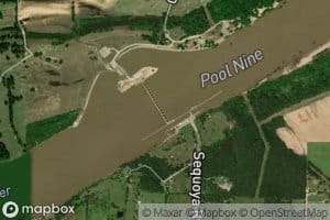 Pool Nine