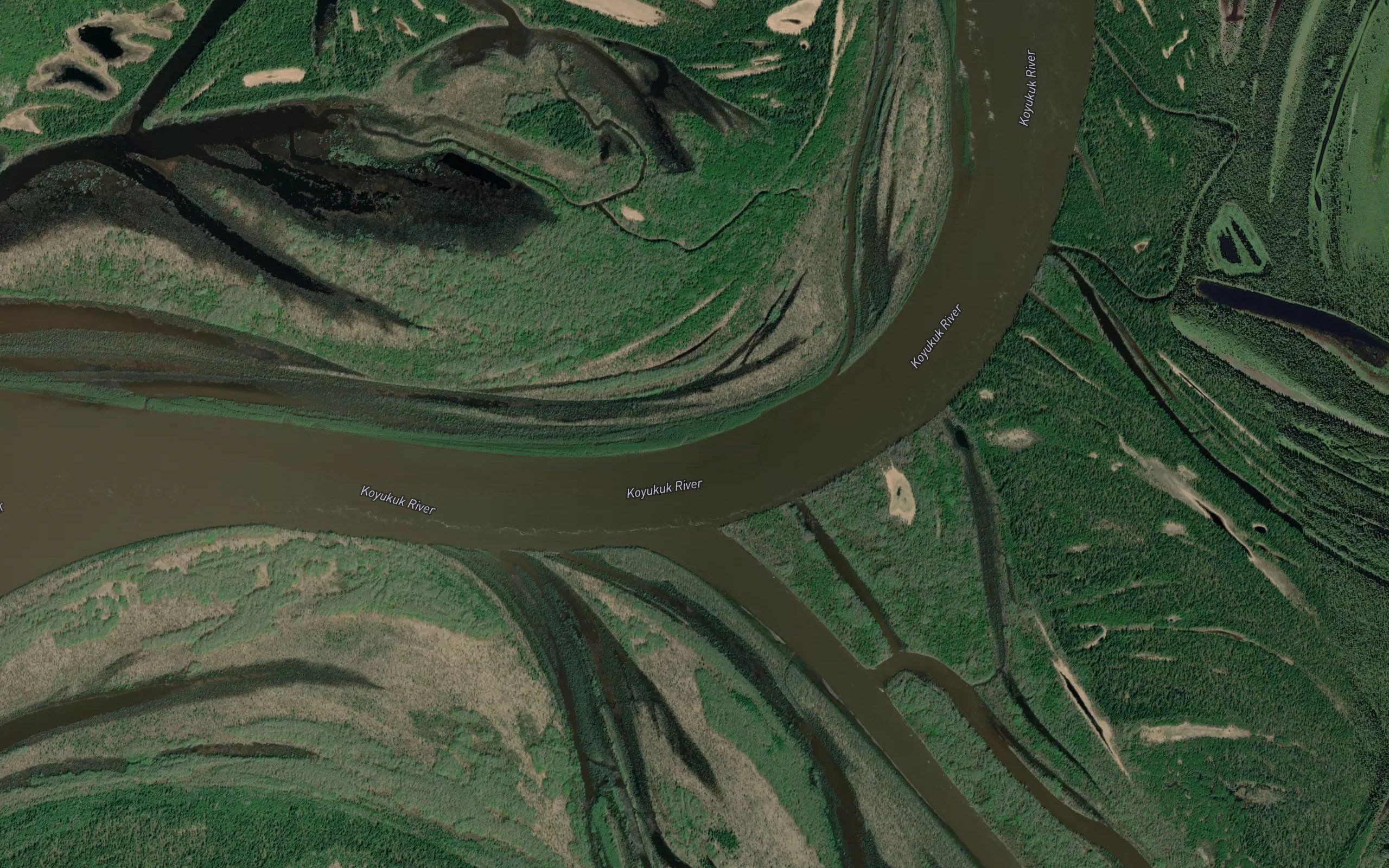Koyukuk River