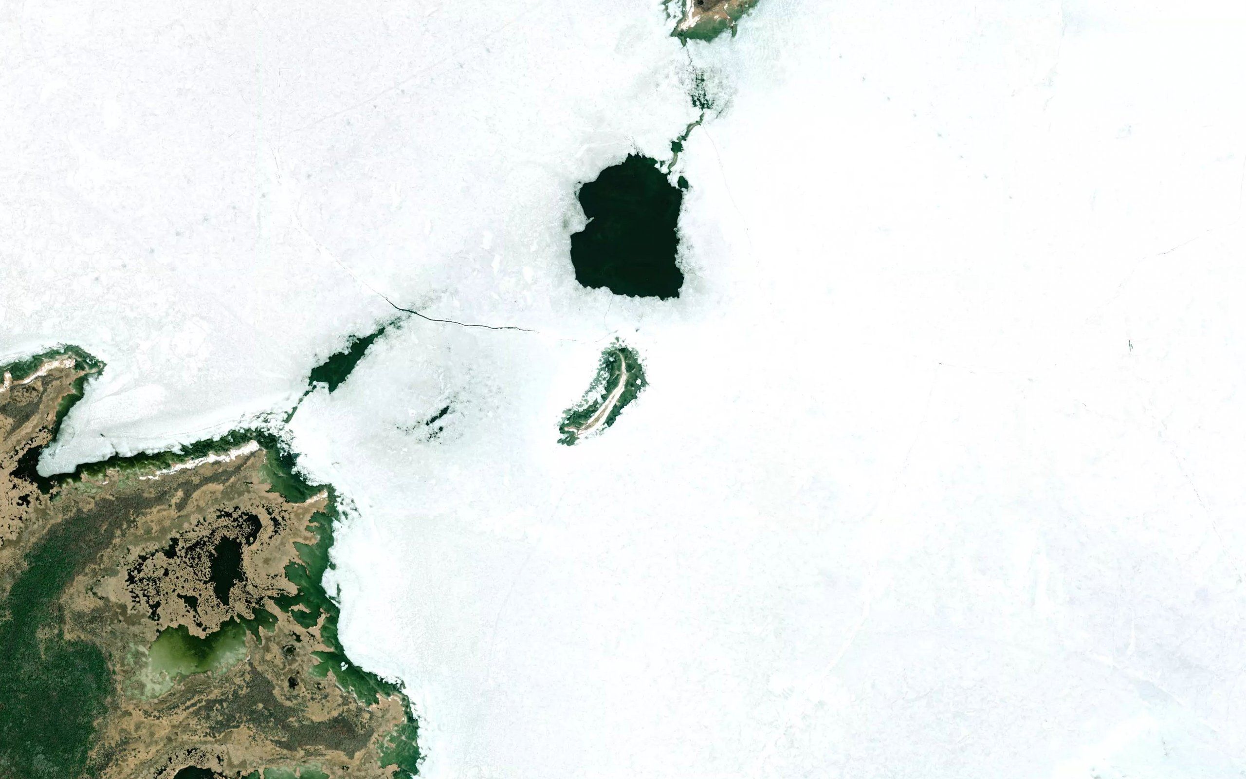 Doris Reef
