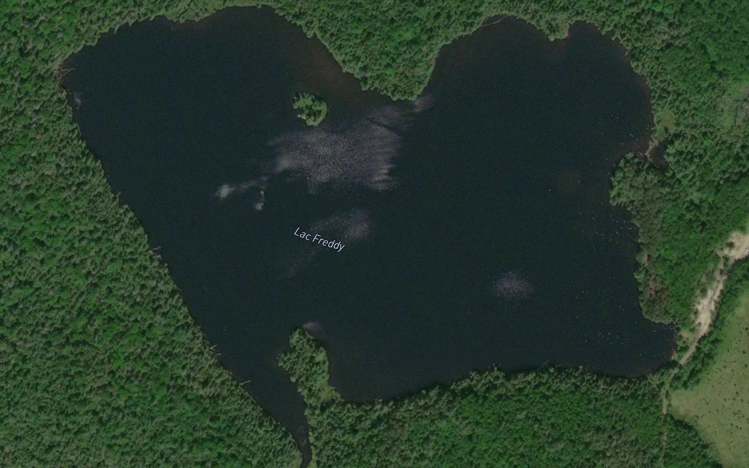 Lac Freddy