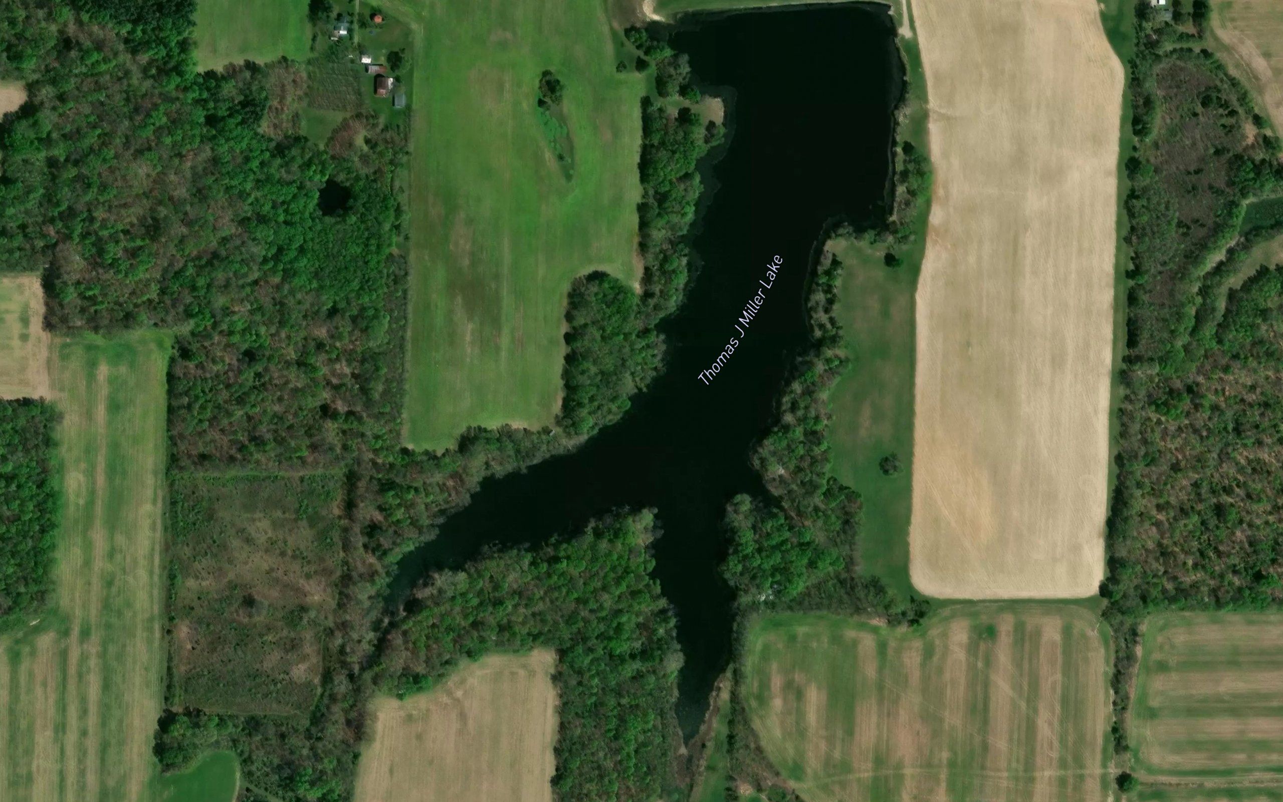 Thomas J Miller Lake