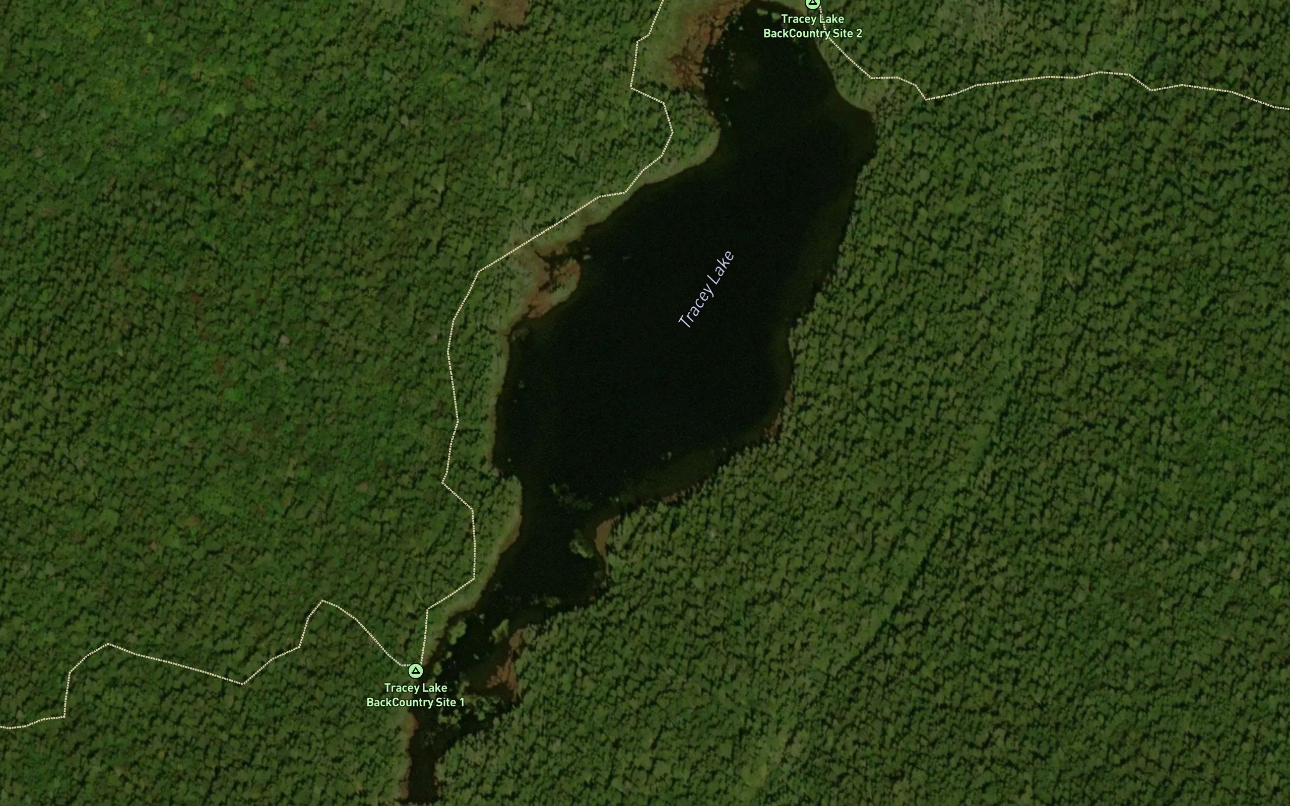 Tracey Lake
