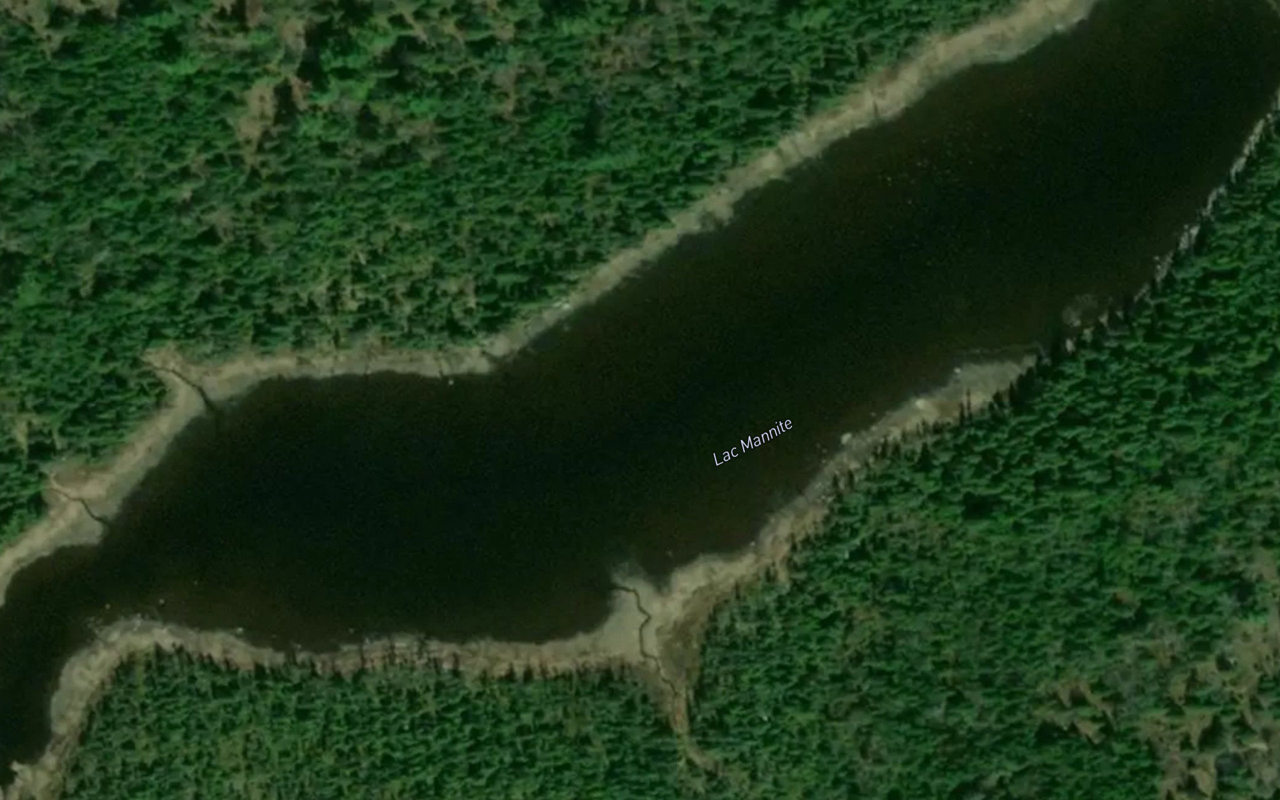 Lac Mannite