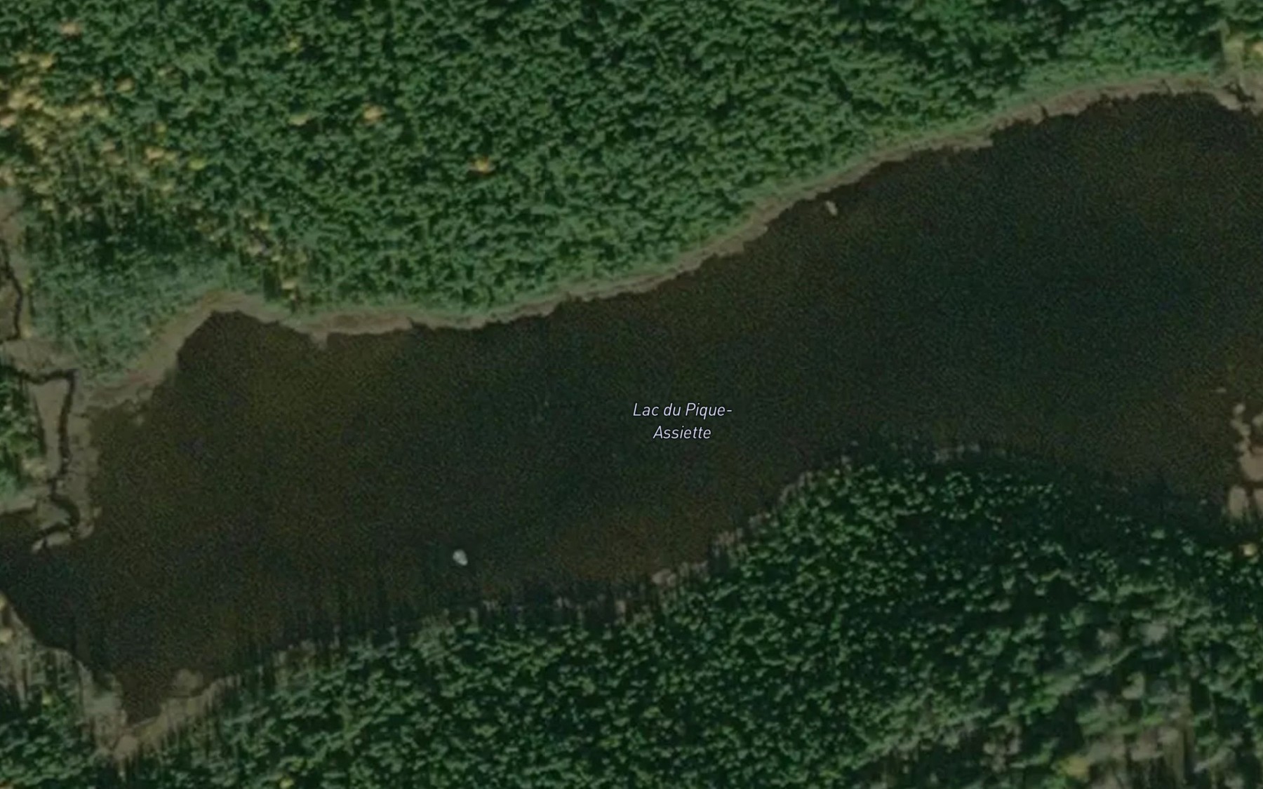 Satellite map of the Lac du Pique-Assiette