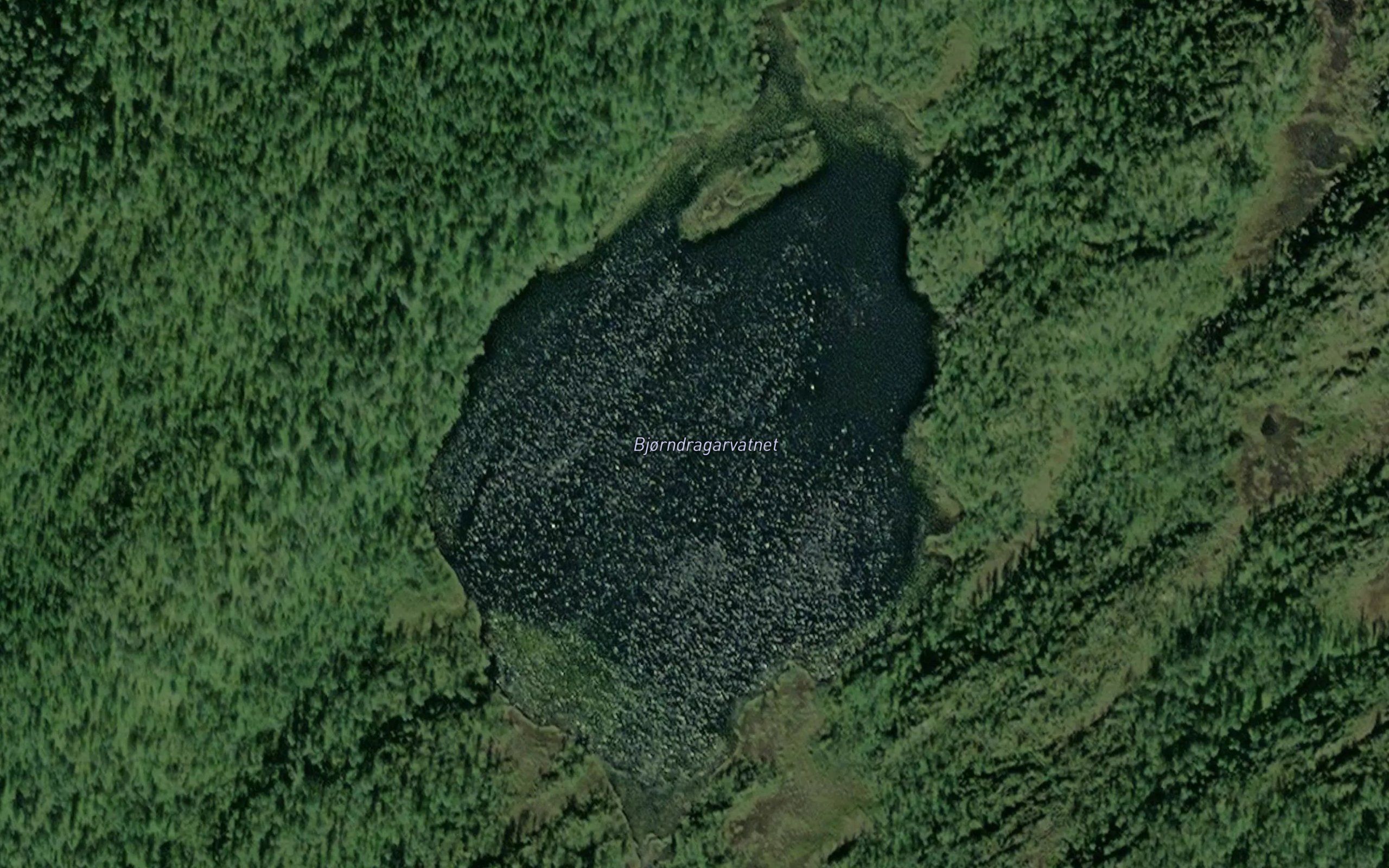 Bjorndragarvatnet