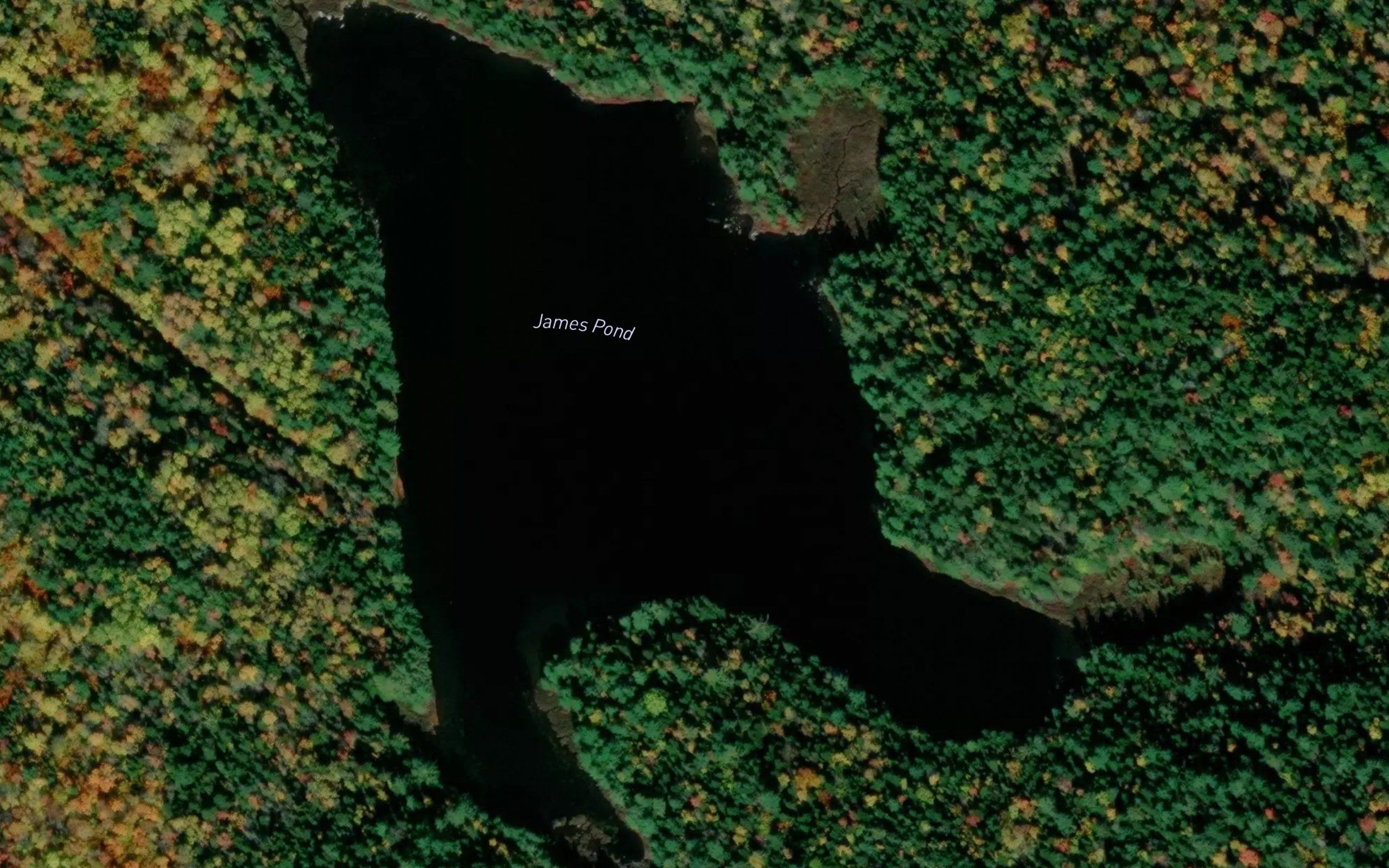 James Pond