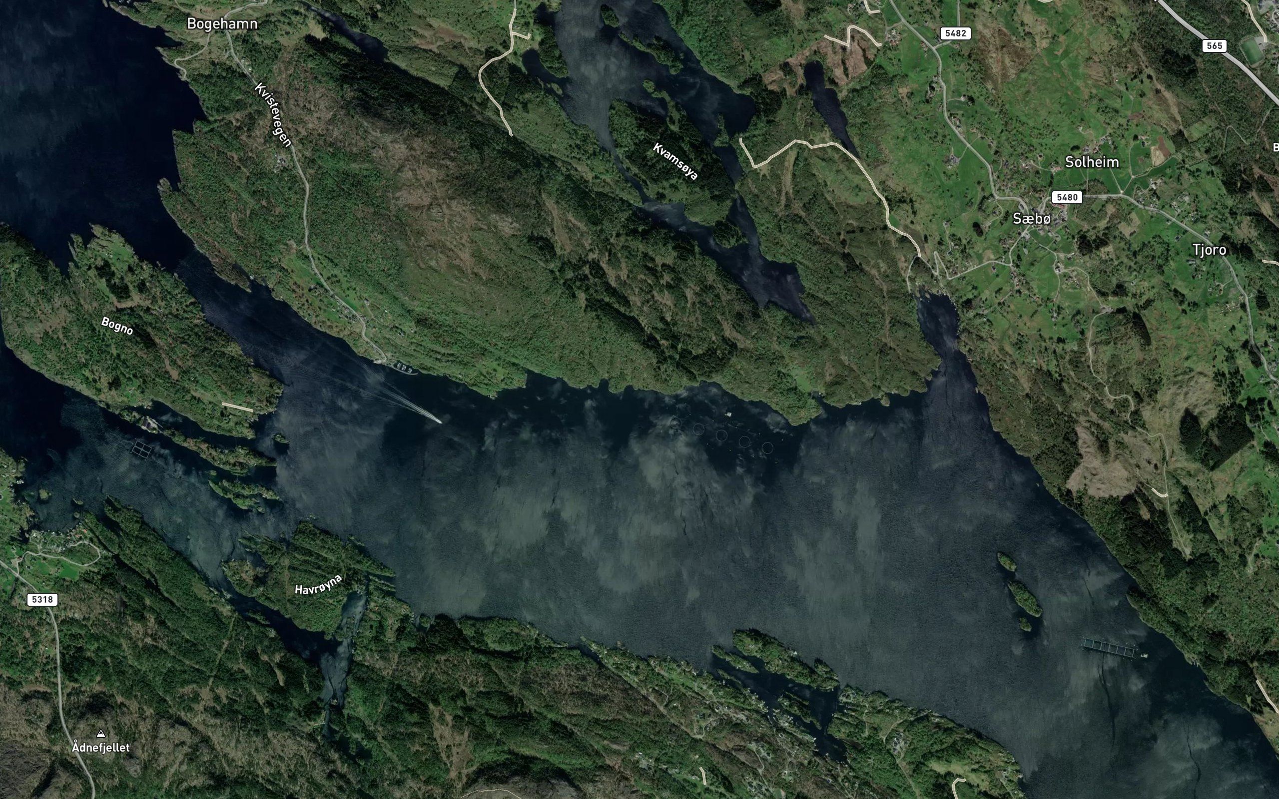 Inste Grimstevika