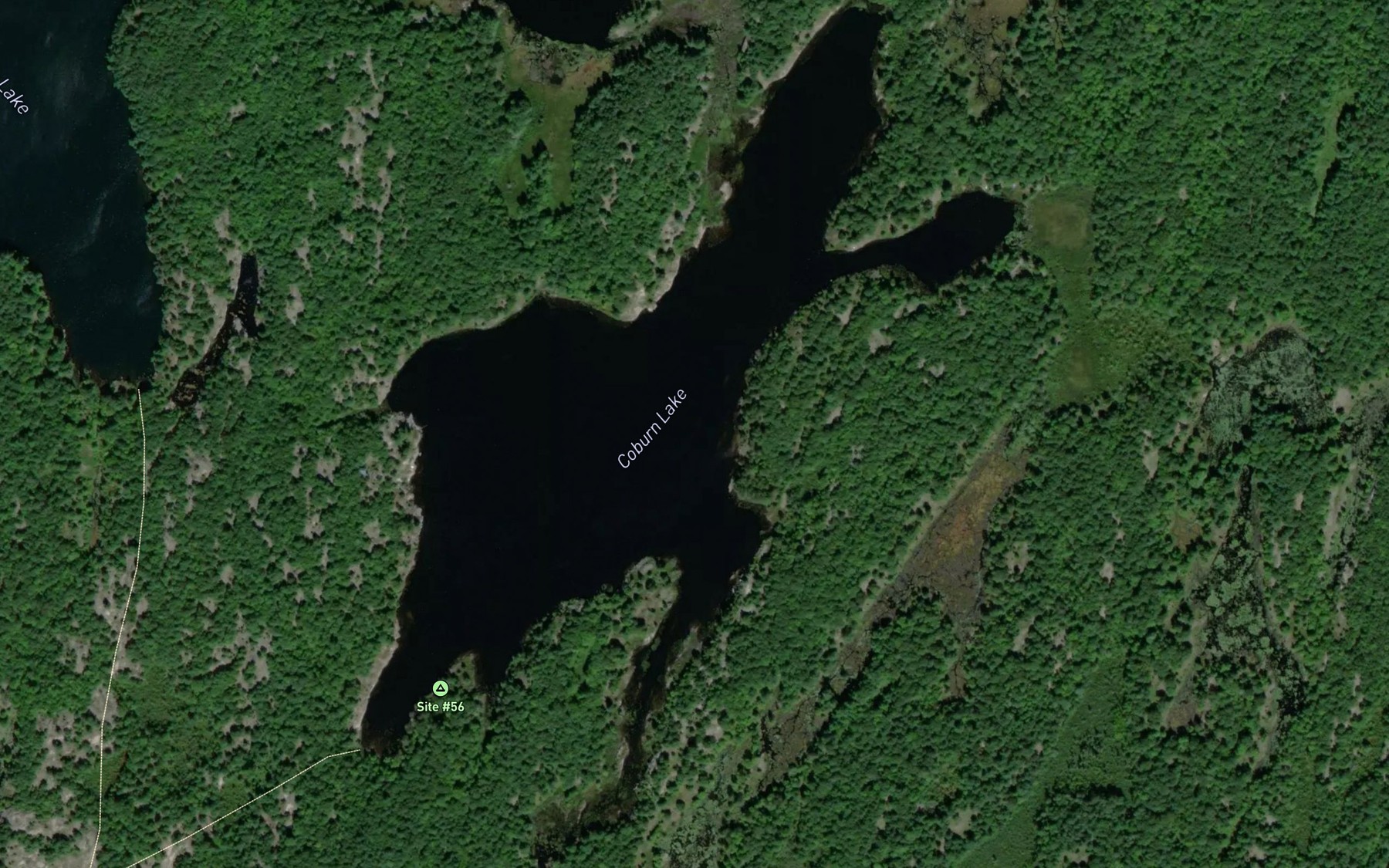 Satellite map of the Coburn Lake