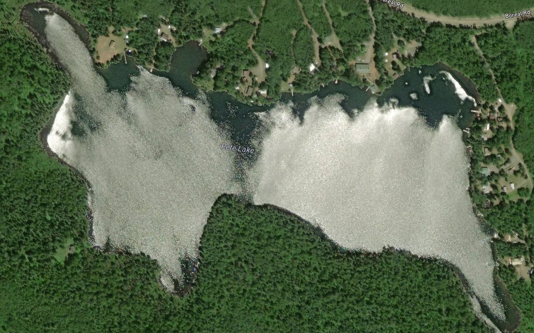 Satellite map of the Pete Lake