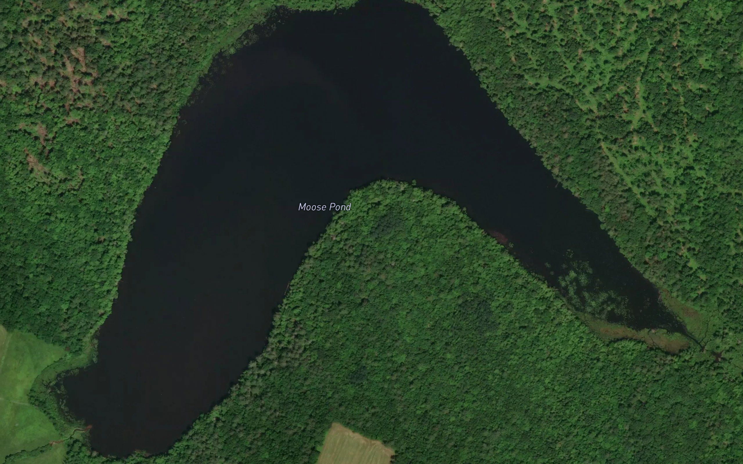 Moose Pond