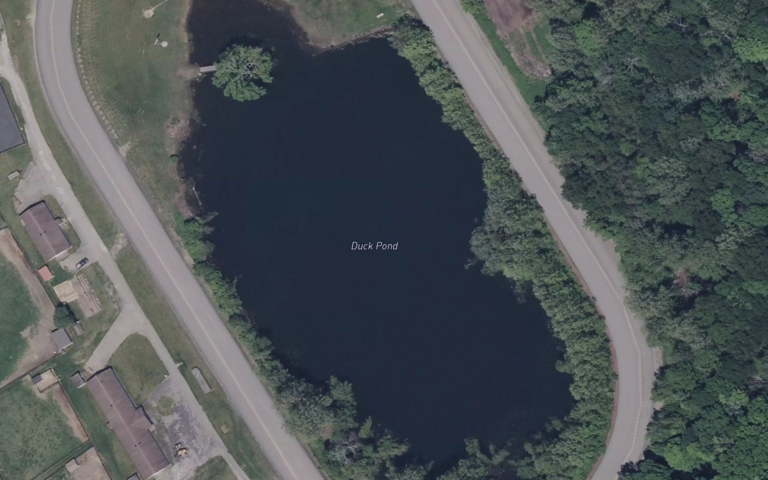 Duck Pond