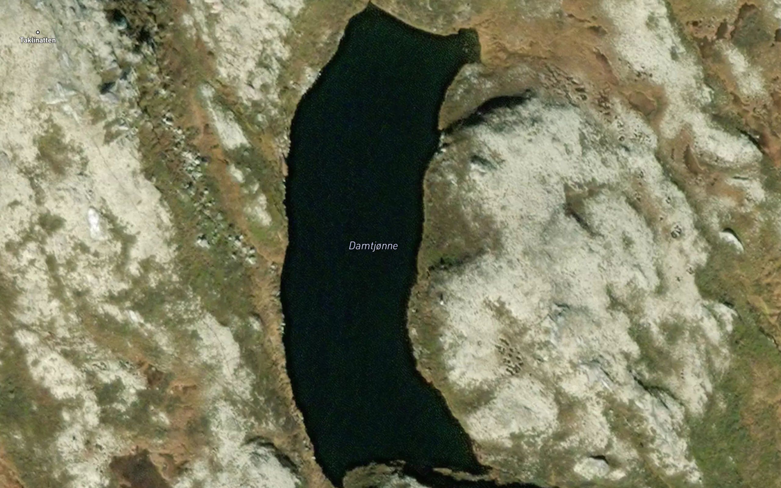Damtjorni
