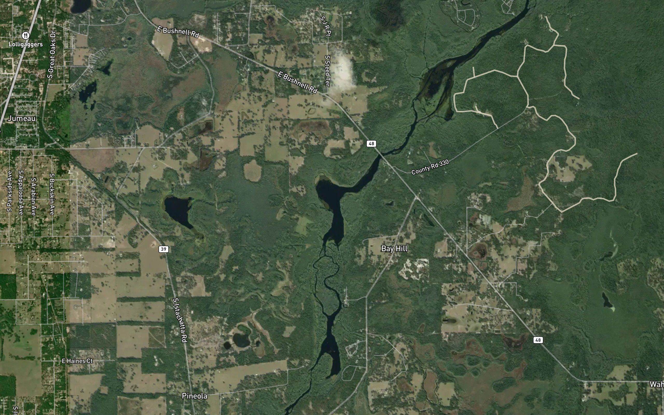 Nelson Lake